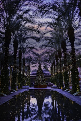 A festive outdoor scene at Club Wyndham Star Island Resort with palm trees decorated in Christmas lights and wreaths, Latin musical instruments set up for a live backyard-style music event, no faces visible.