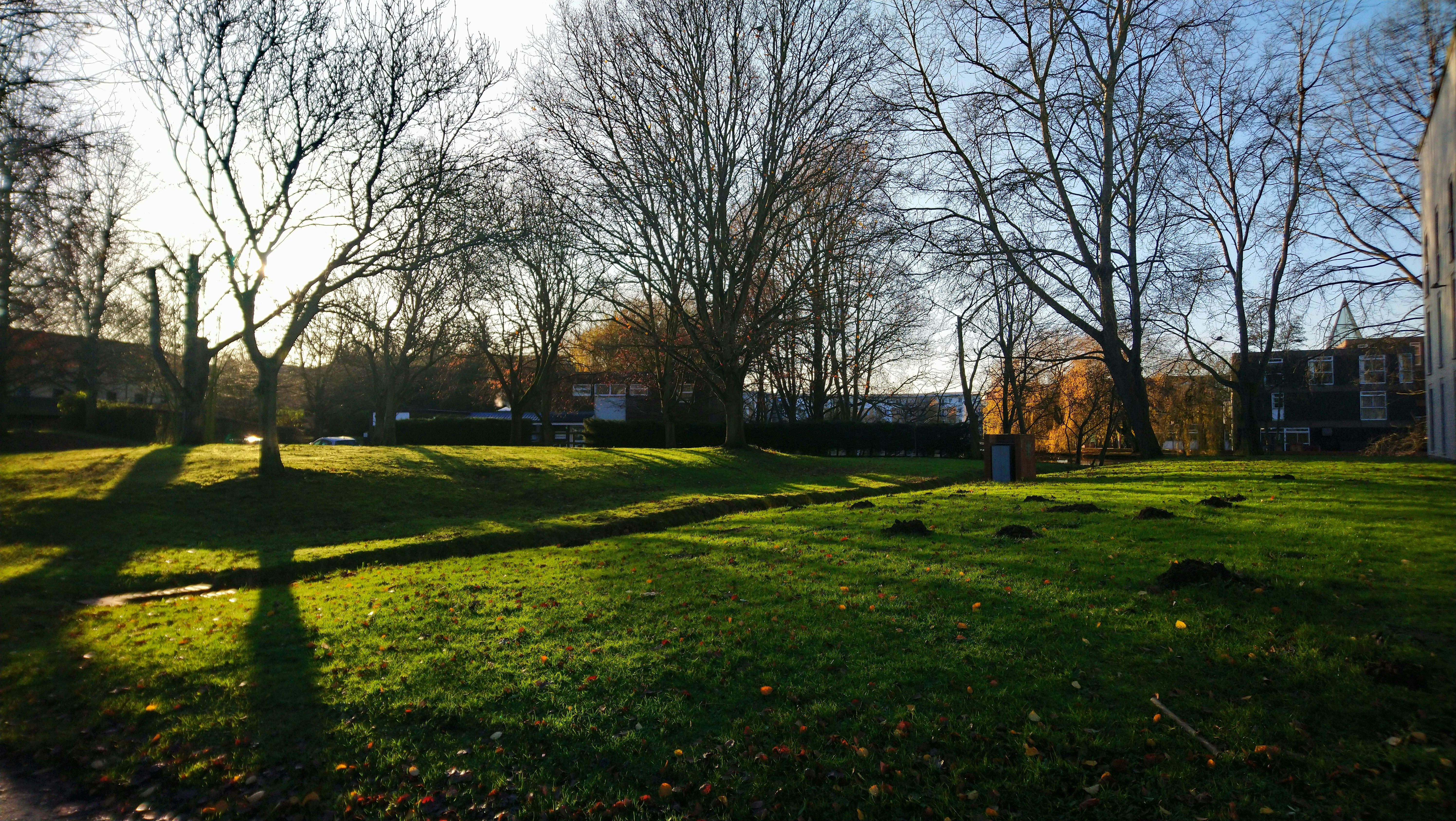 Photo by aikeaguinea