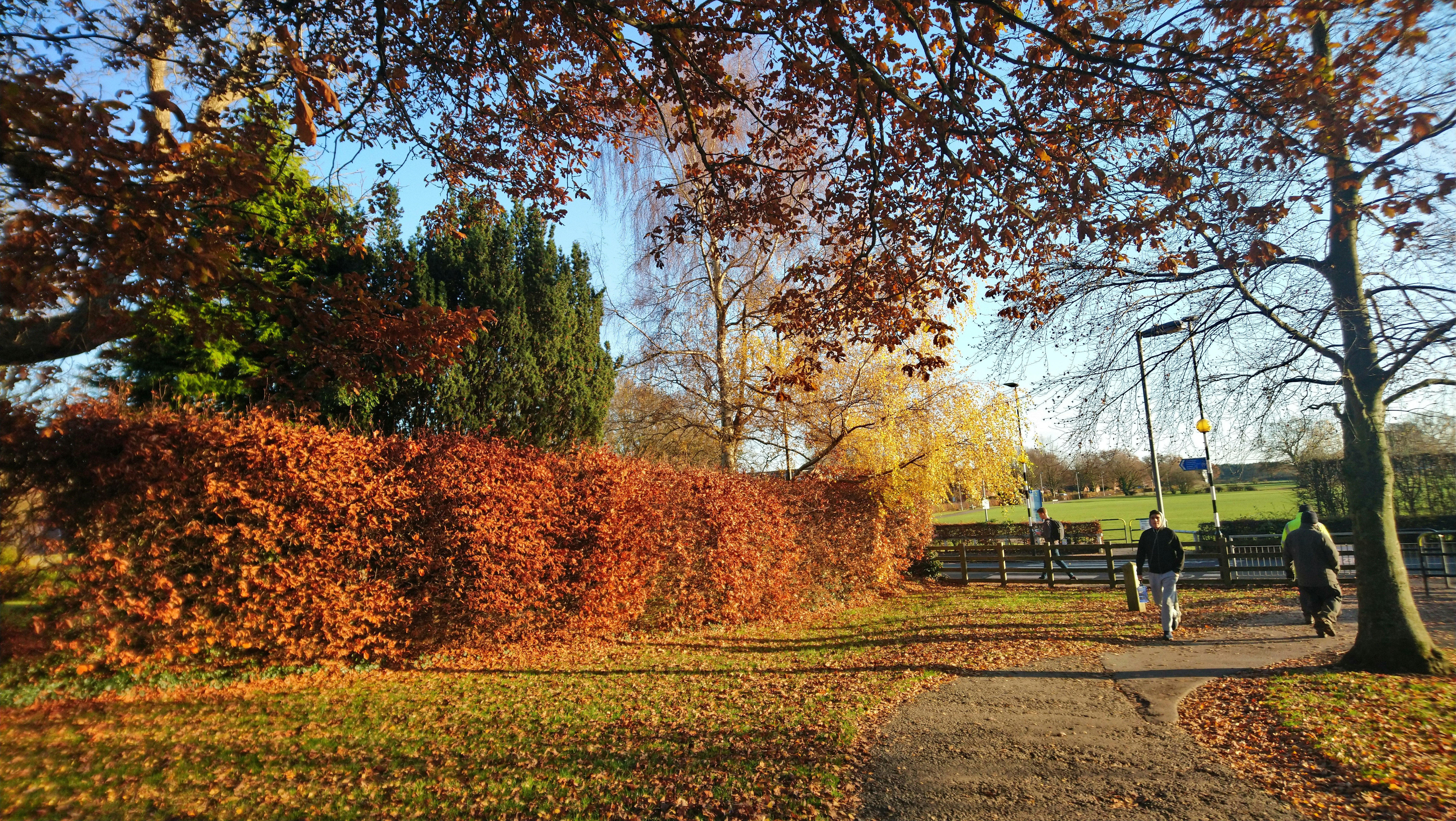 Photo by aikeaguinea