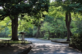 A serene park setting with a gravel path winding through lush green trees. Sunlight filters through the leaves, casting dappled shadows on the ground. A small information board and a lamp post stand beside the path, surrounded by well-maintained grassy areas.