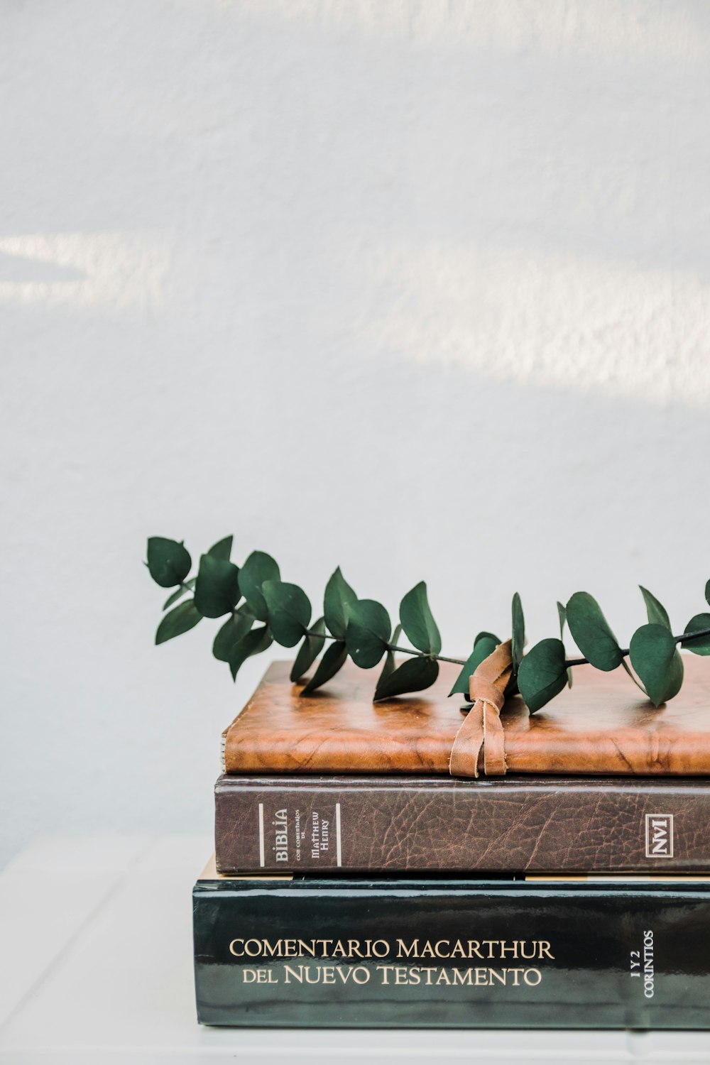 green leaves on brown wooden table