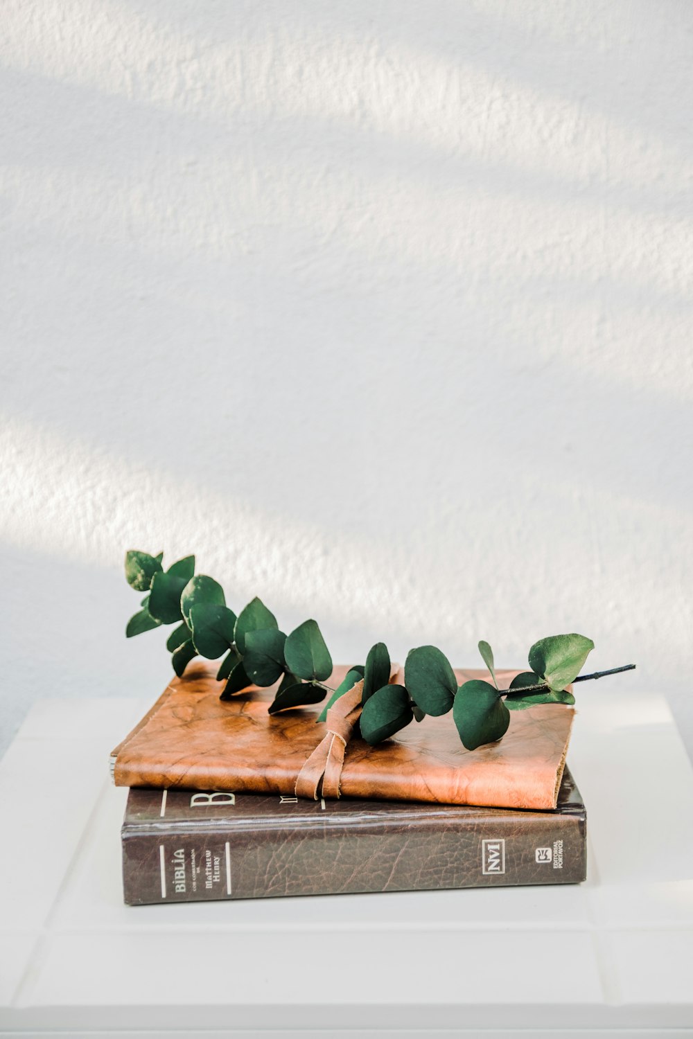 green plant on brown wooden table