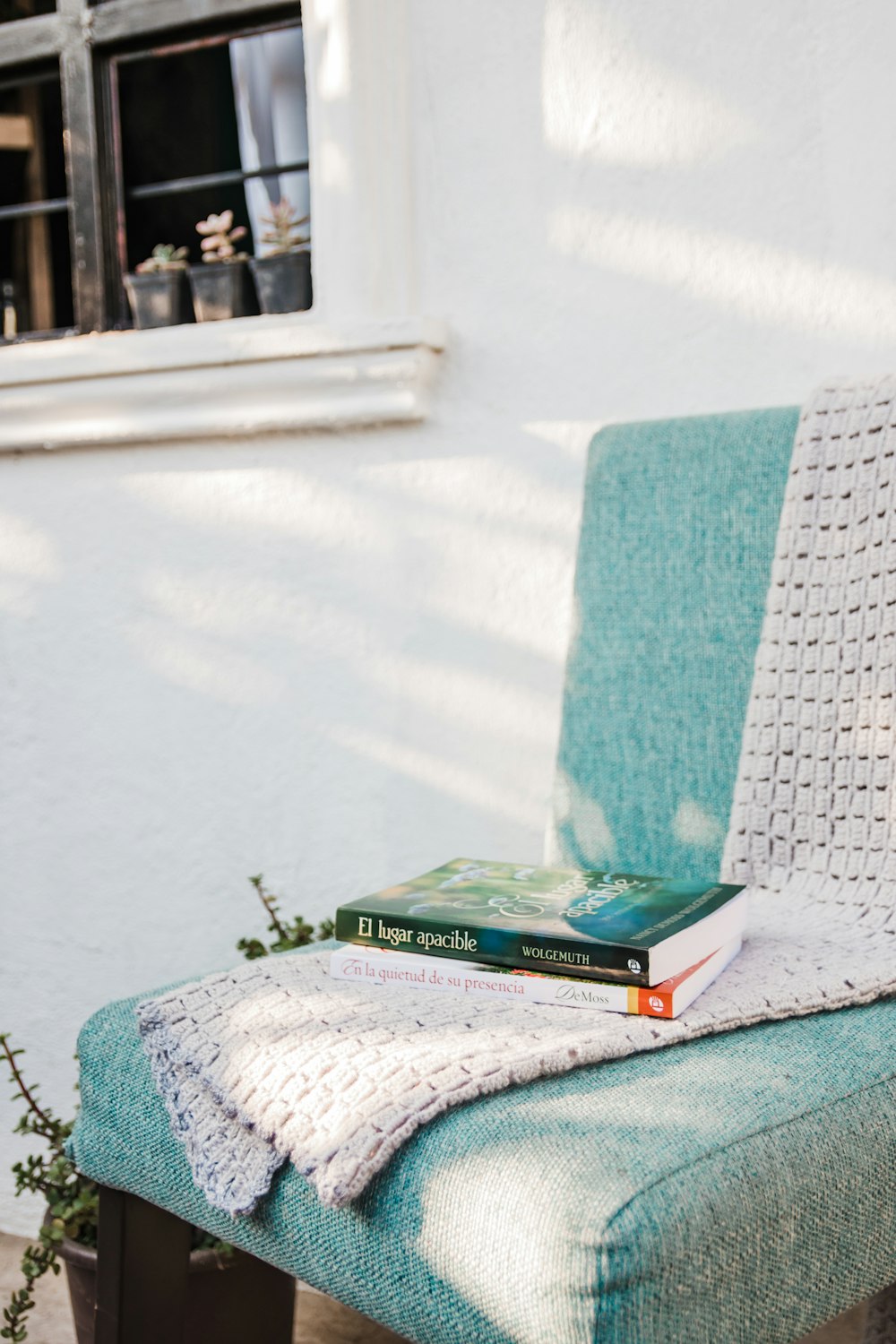 green and white box on white table cloth