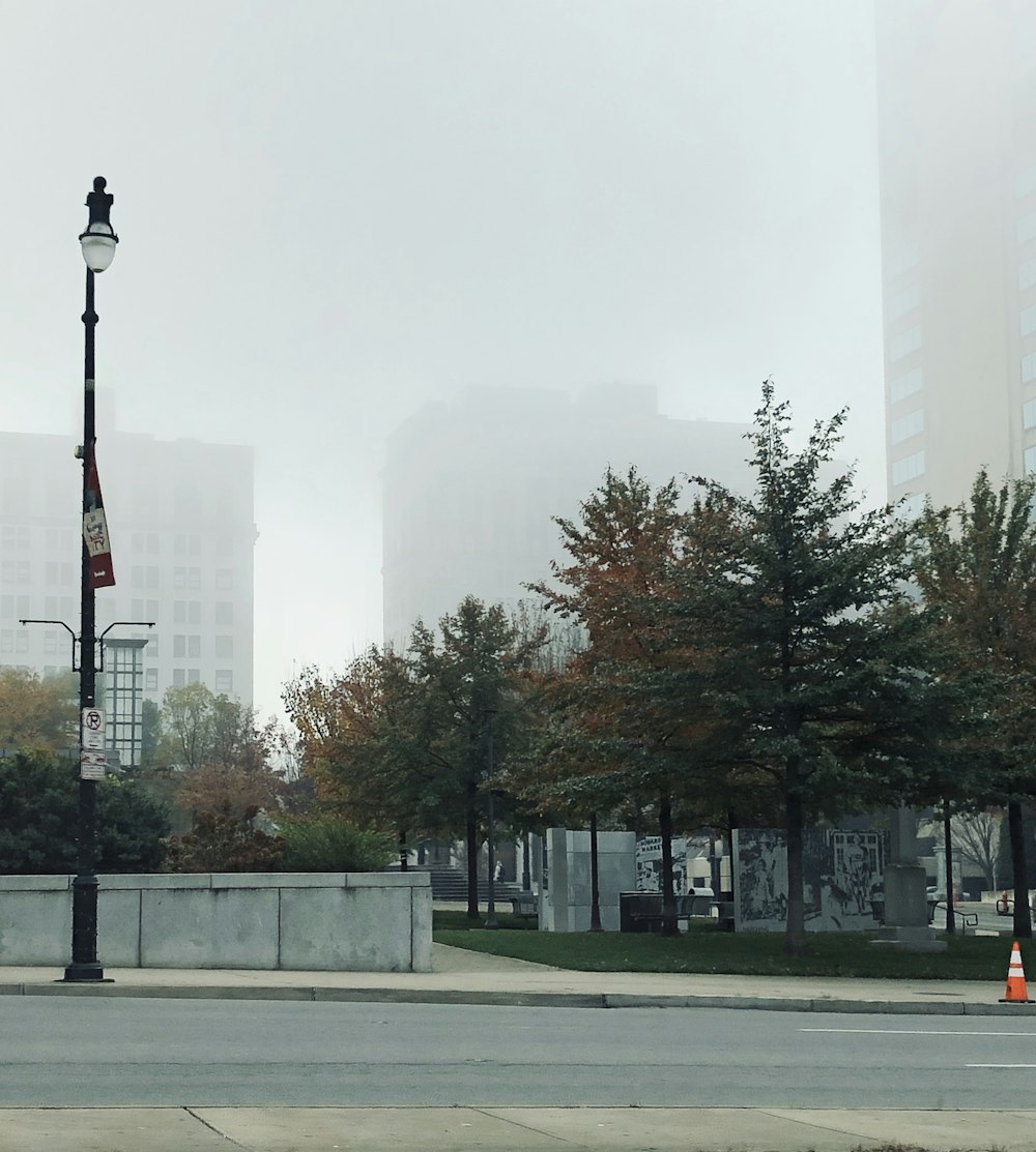 black street light near trees and building during daytime