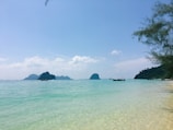 A serene beach with clear turquoise waters gently lapping against the sandy shore. Several longtail boats are floating on the water, and towering limestone islands are visible in the distance under a bright blue sky. Lush greenery is visible on the right side, adding a natural border to the idyllic scene.