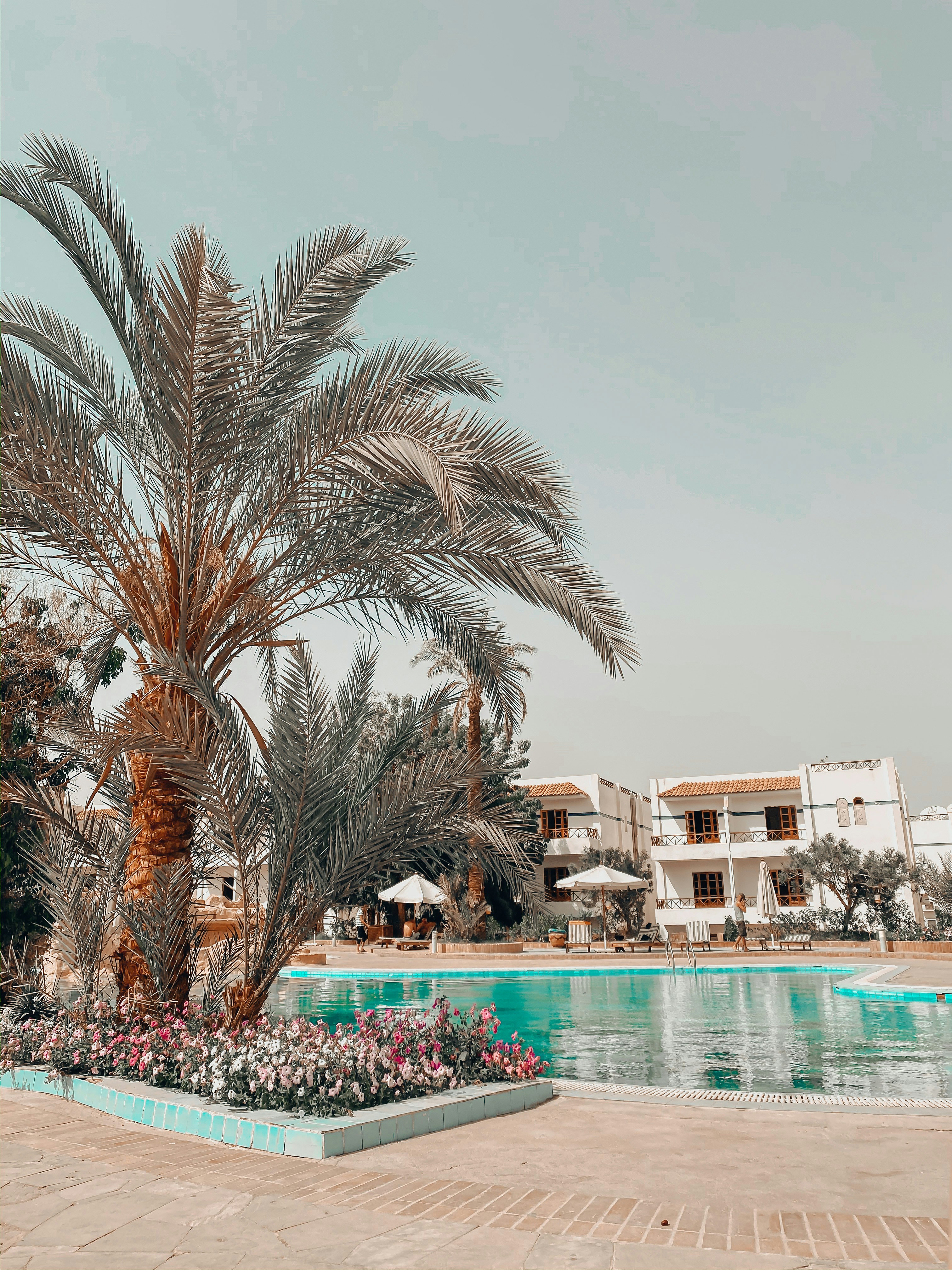 Photo by lenagoryashko