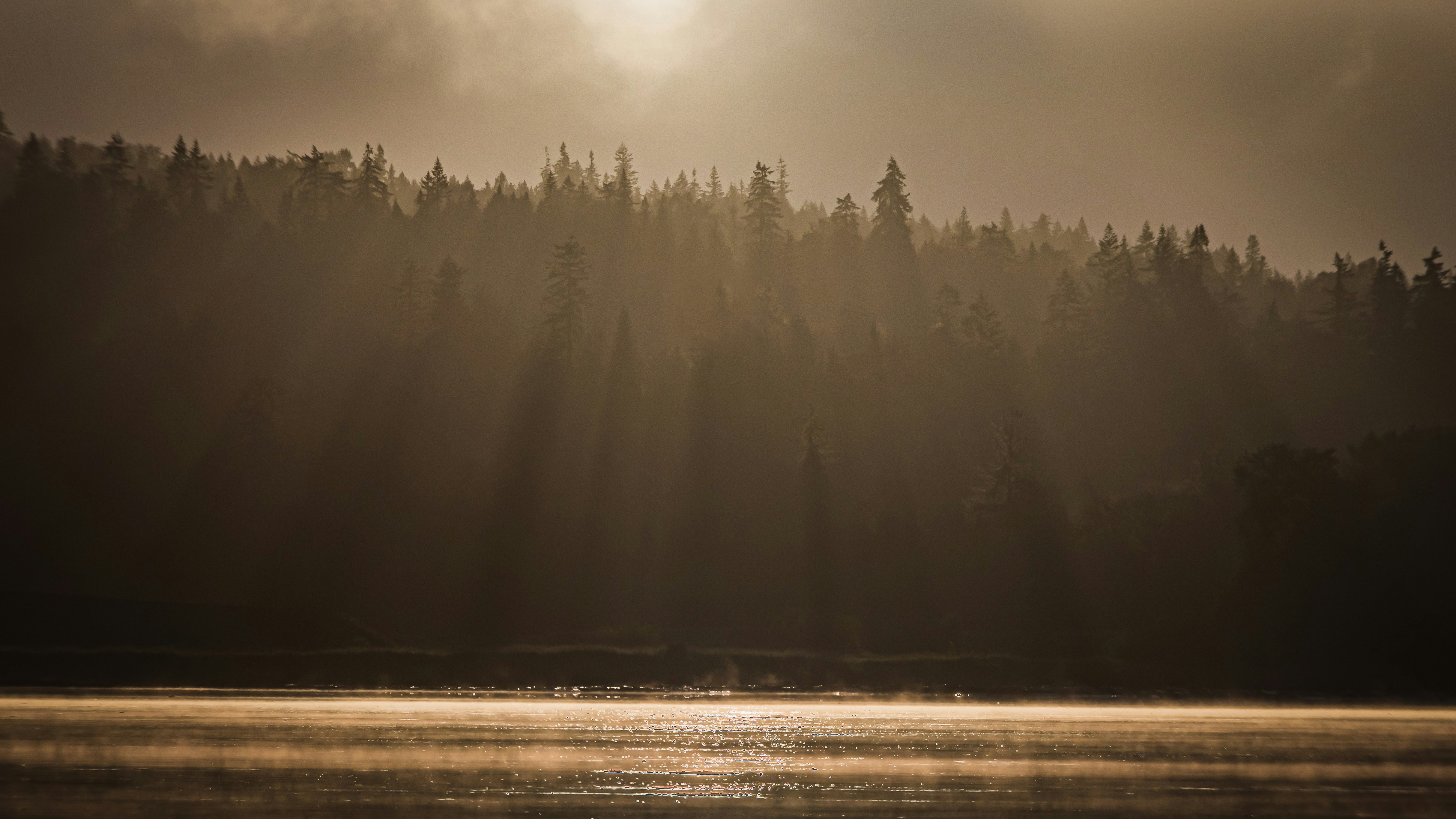 Photo by greg_rosenke