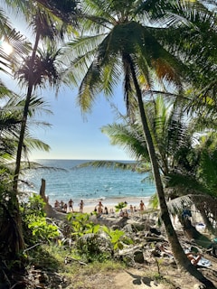 people on beach during daytime