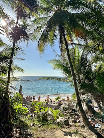 people on beach during daytime