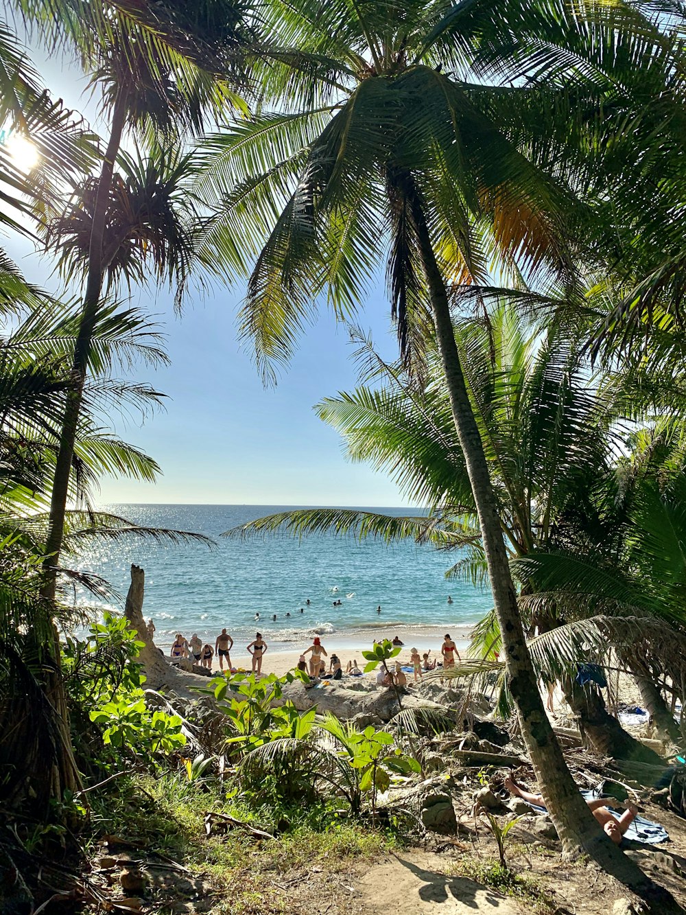 people on beach during daytime