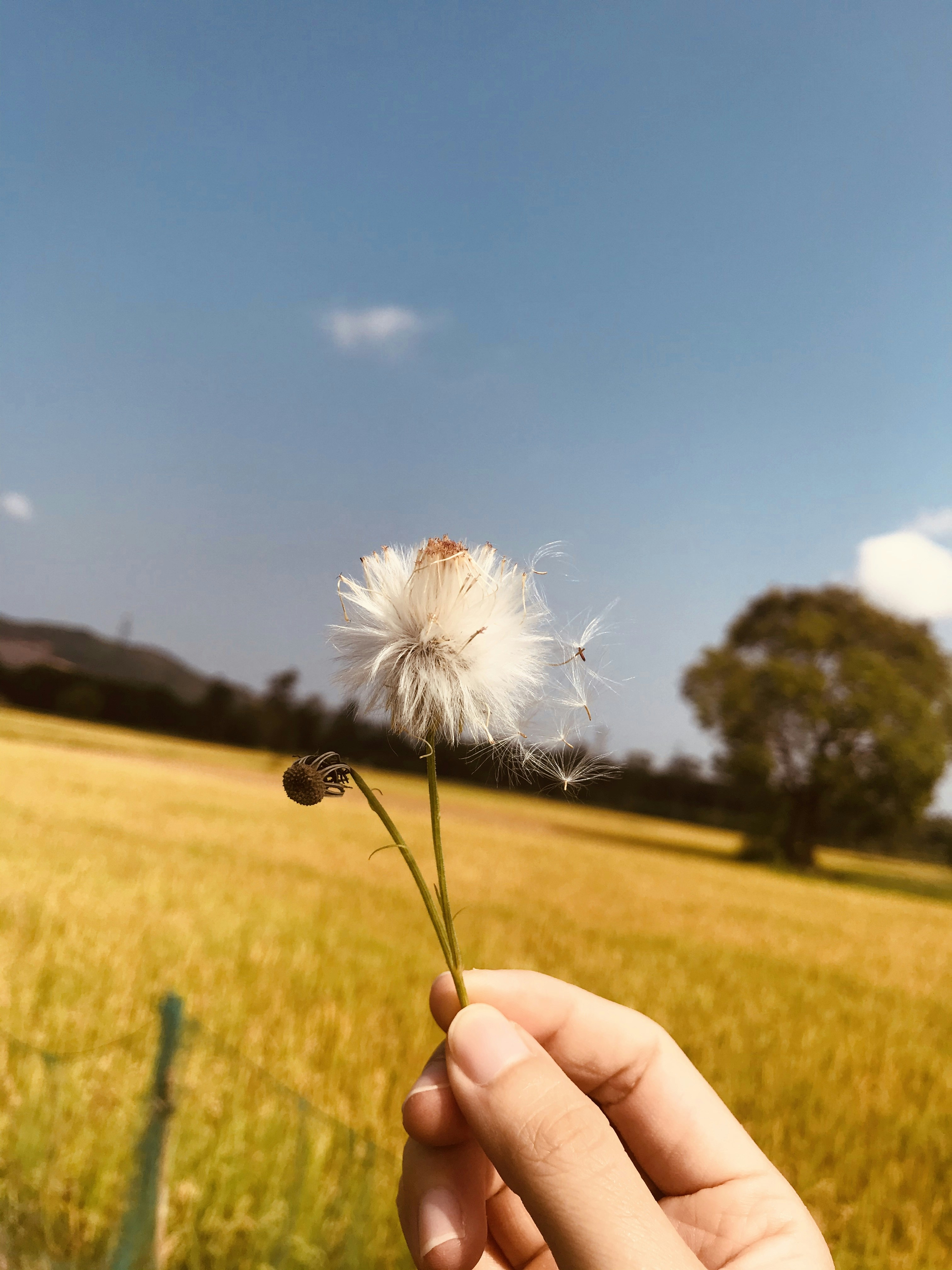 Photo by daisytran22