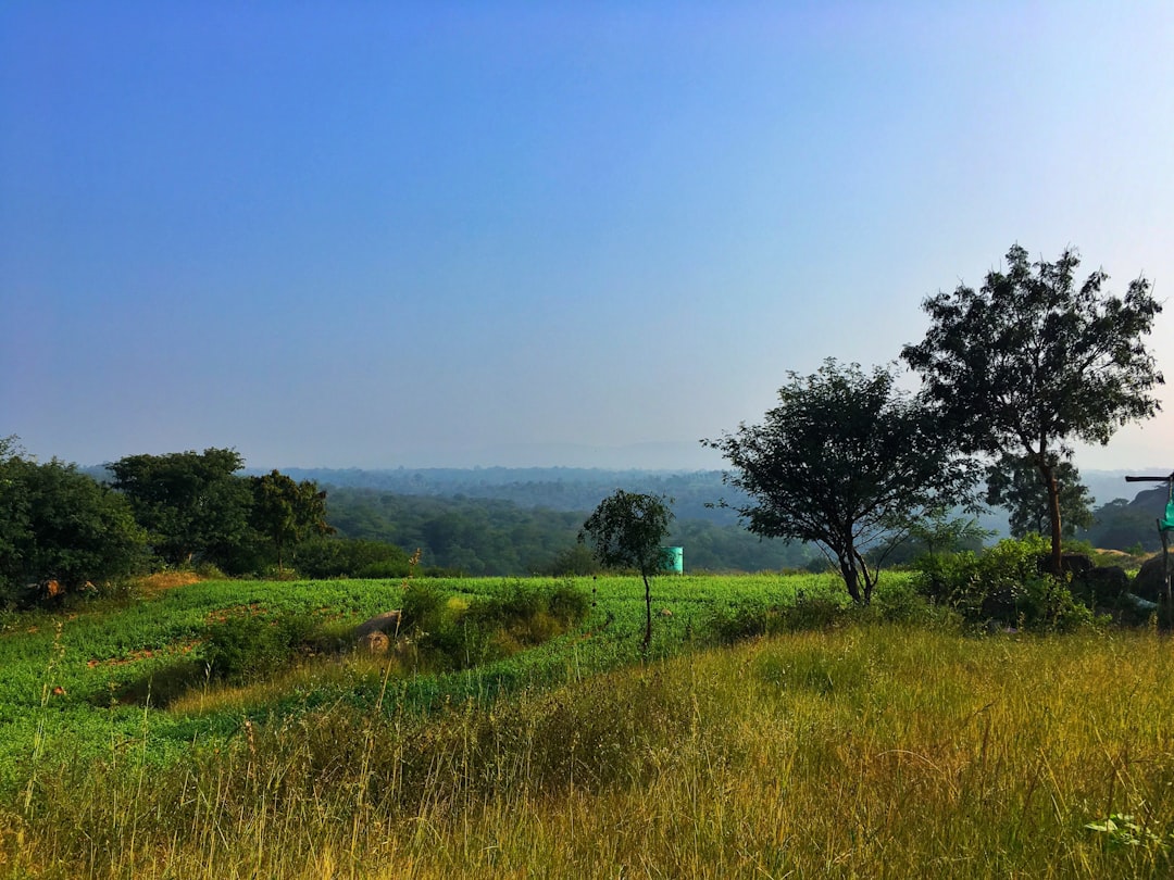 Nature reserve photo spot Kanakapura Hogenakkal Waterfalls