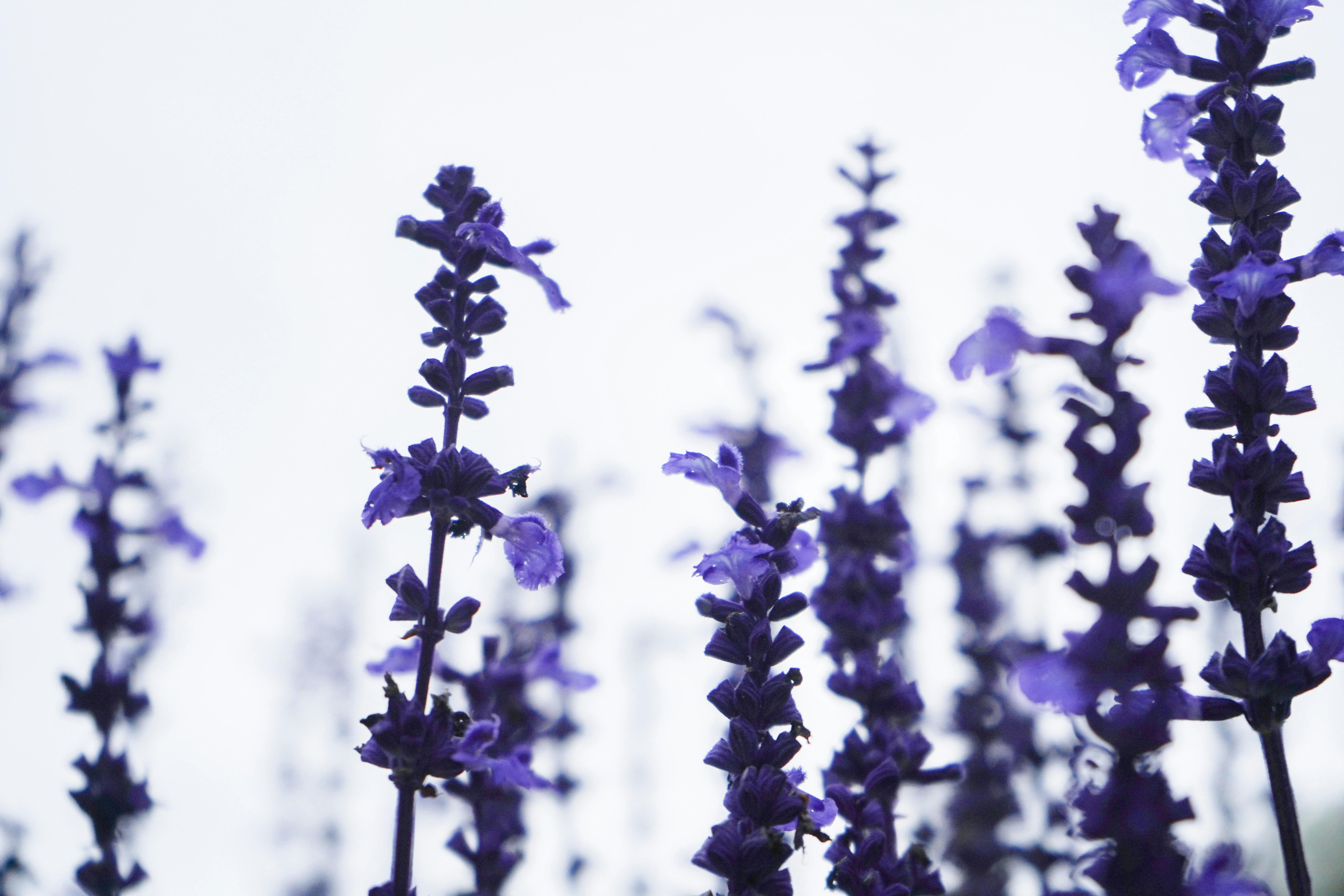 Photo by yessyeo_studio