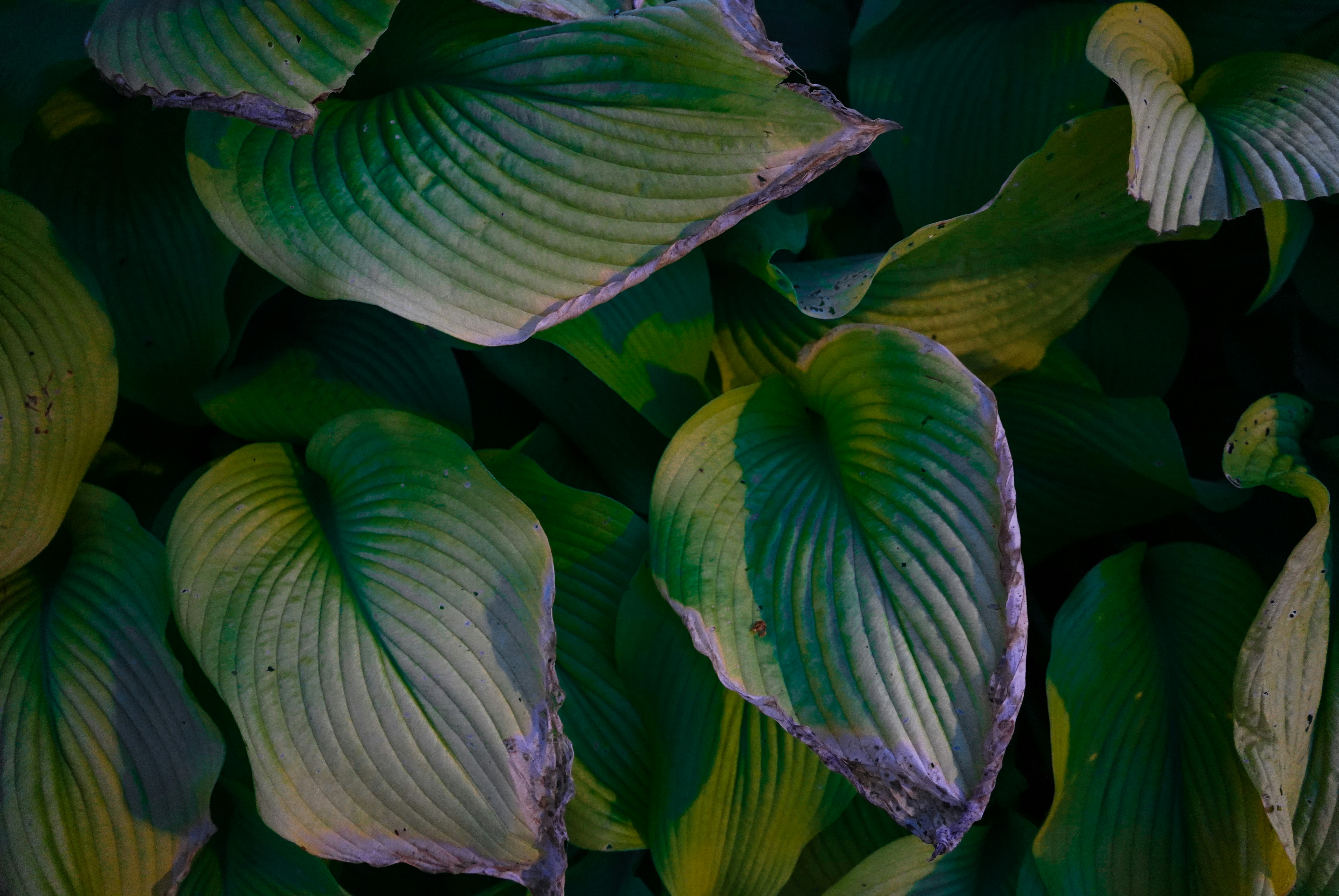 Photo by yessyeo_studio