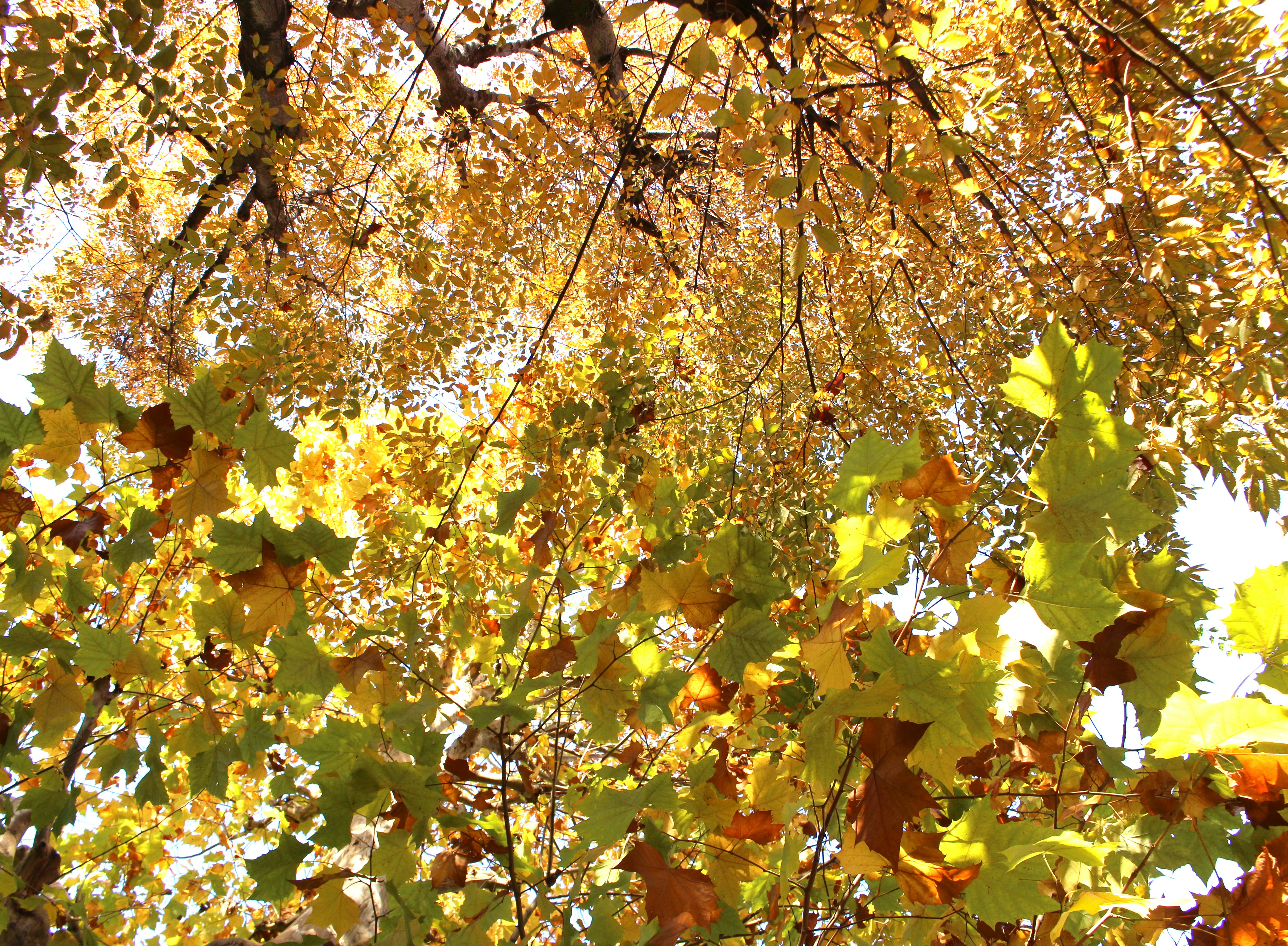 Photo by imperfectbloom