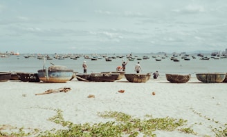 people on beach during daytime