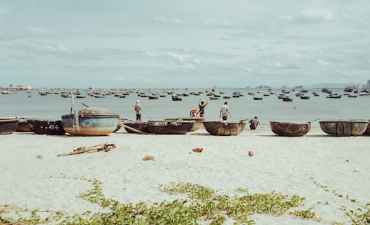 people on beach during daytime in Da Nang Vietnam