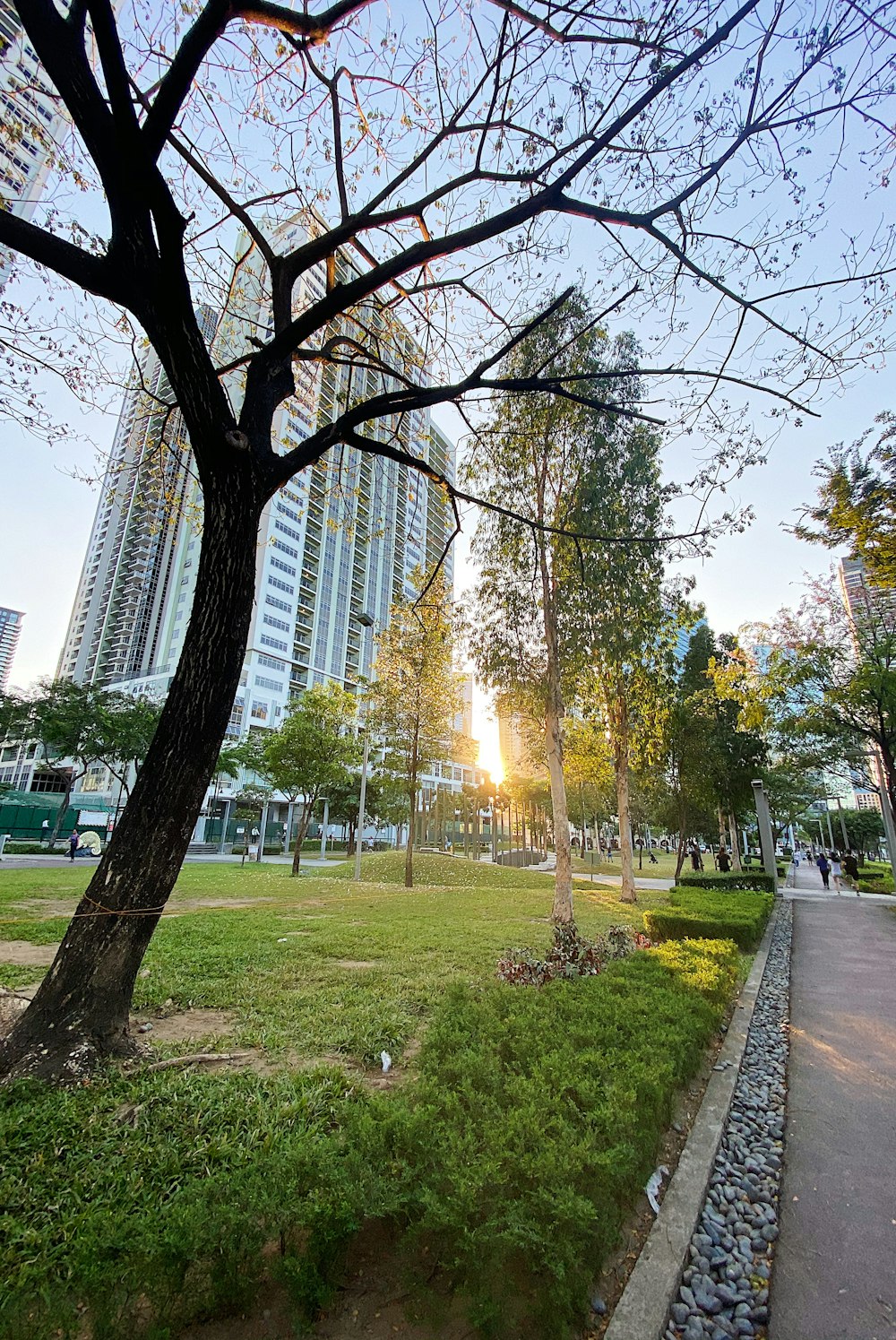 green grass field with trees and buildings in distance