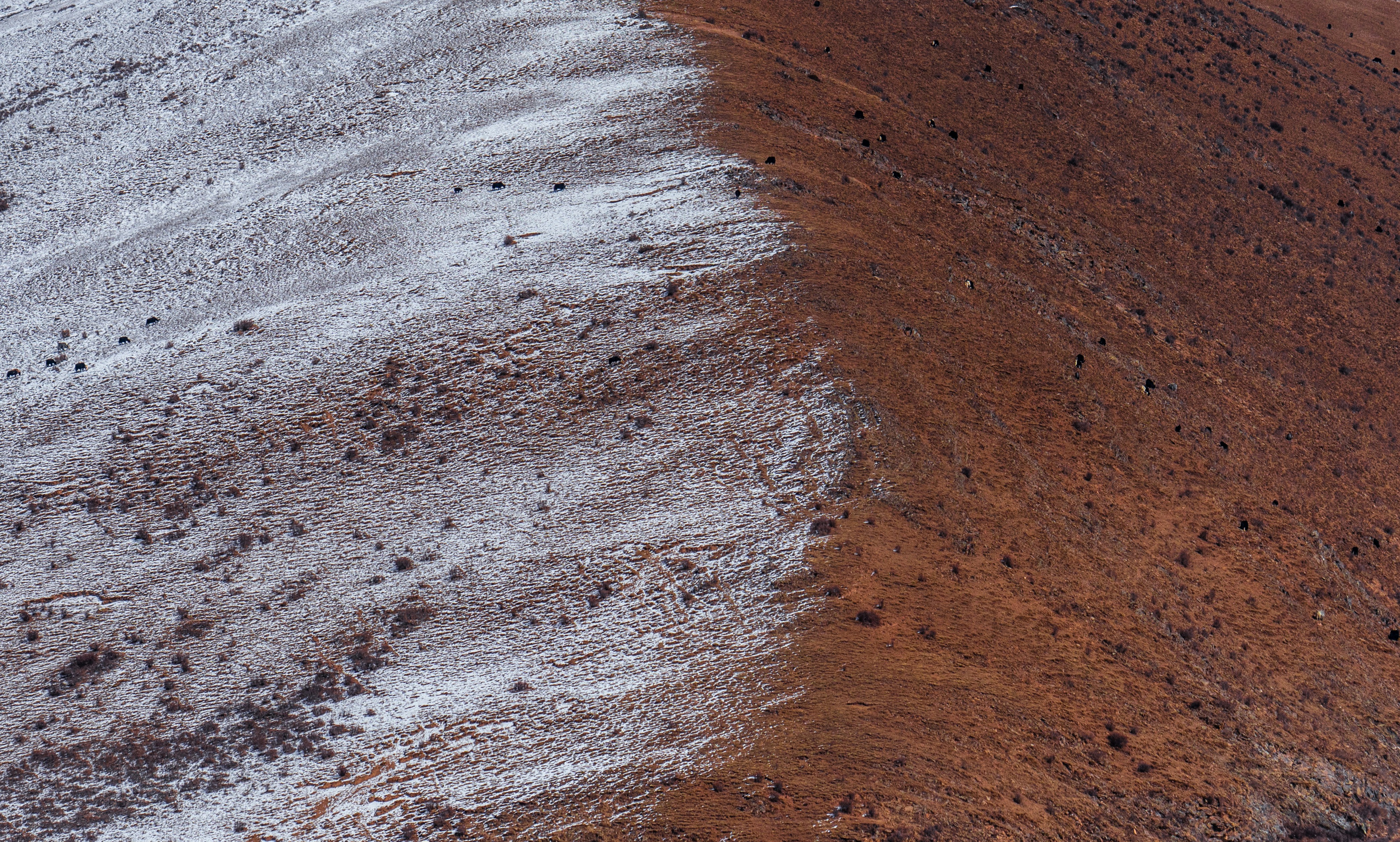 Photo by juniperphoton