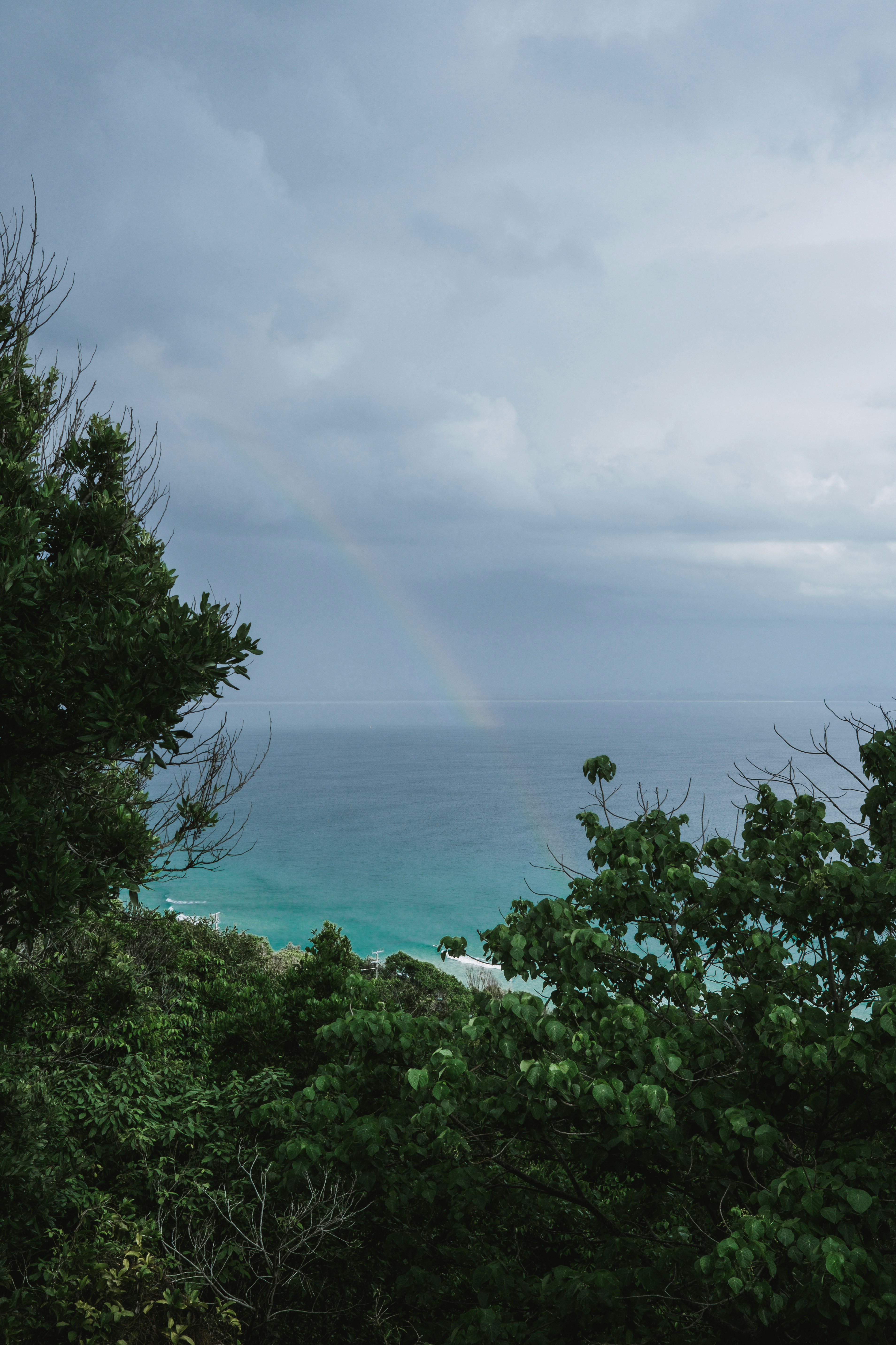 green trees near body of water during daytime