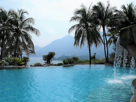 A sparkling clean pool nestled among lush North Georgia mountain trees under a bright blue sky.