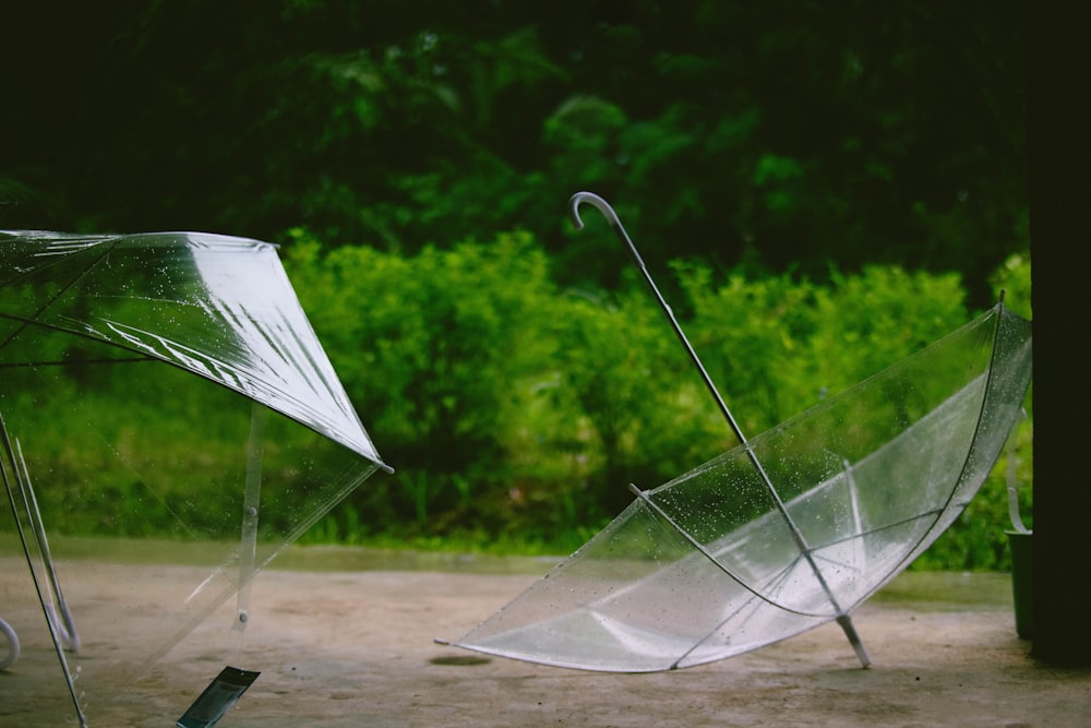 white umbrella on brown soil