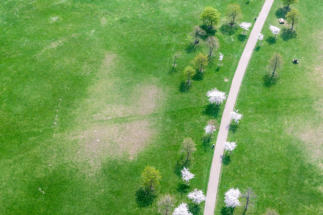 Landscape photo spot Vienna Belvedere Schlossgarten