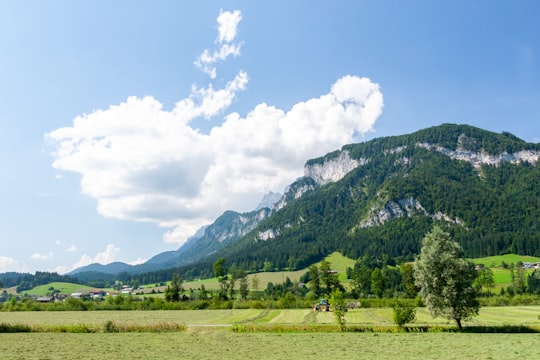green trees and grass field near mountain under white clouds and blue sky during daytime in Land Salzburg Austria