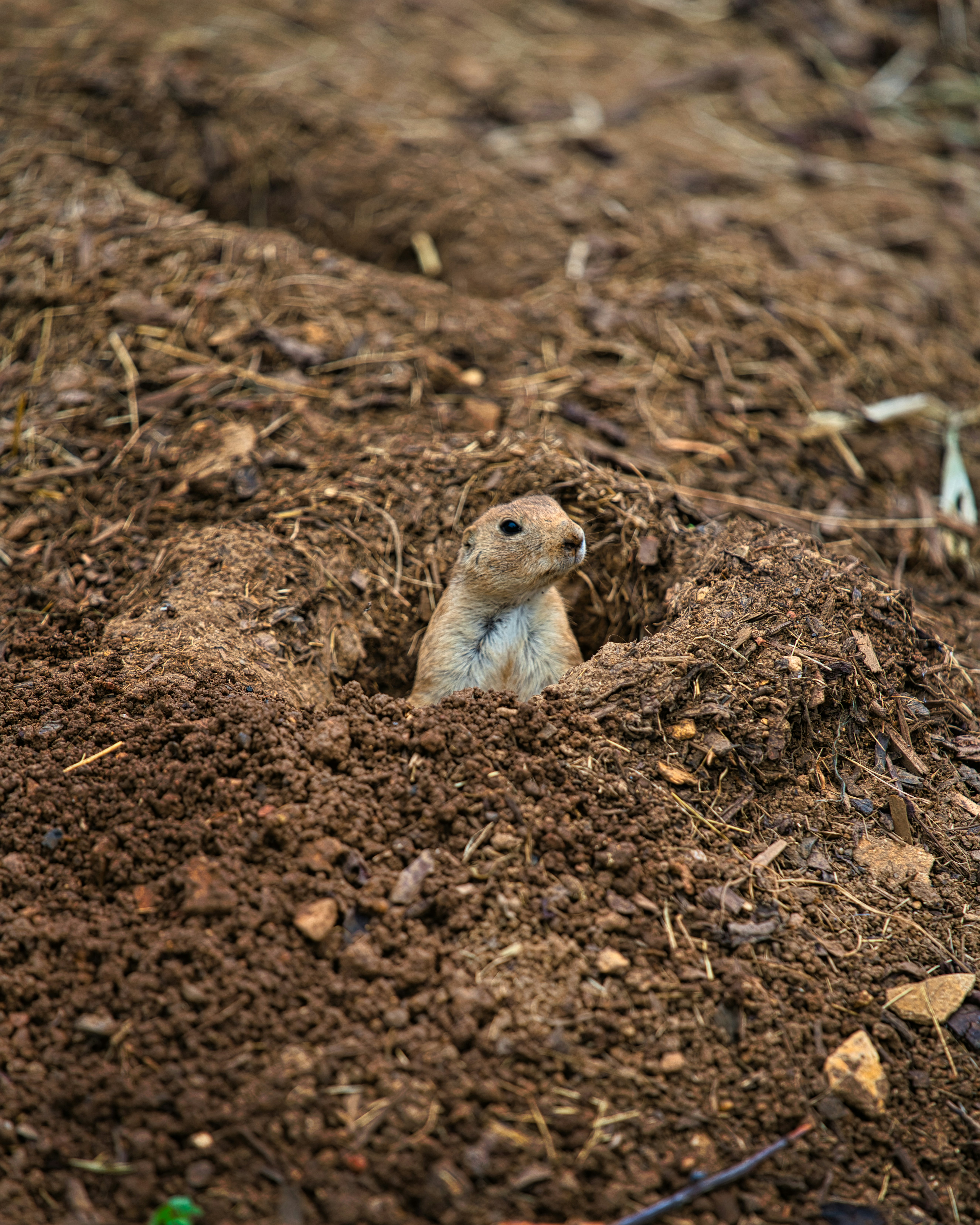 Photo by alxndr_london