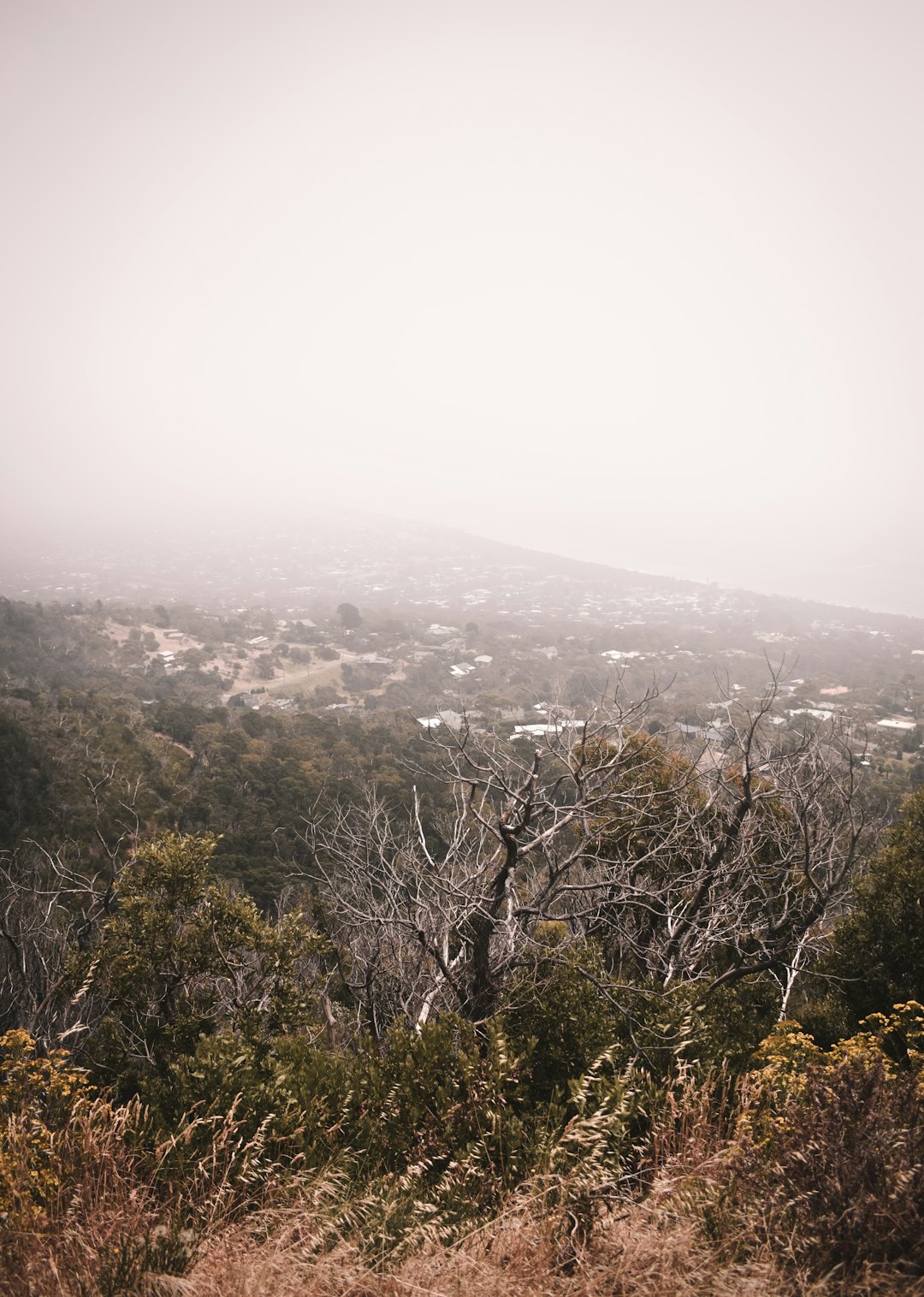 Hill station photo spot Arthurs Seat VIC Olinda VIC