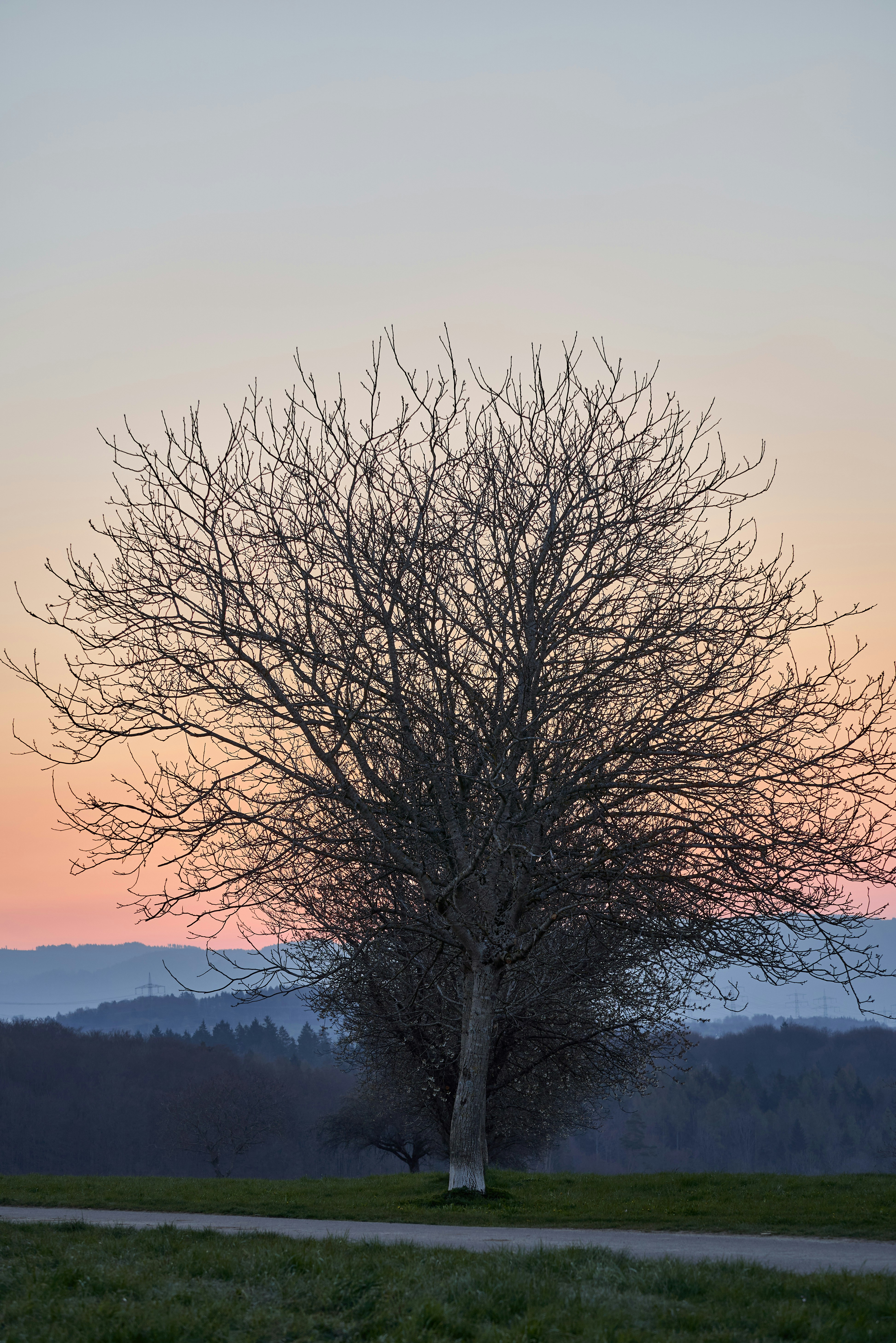 Photo by wolfgang_hasselmann