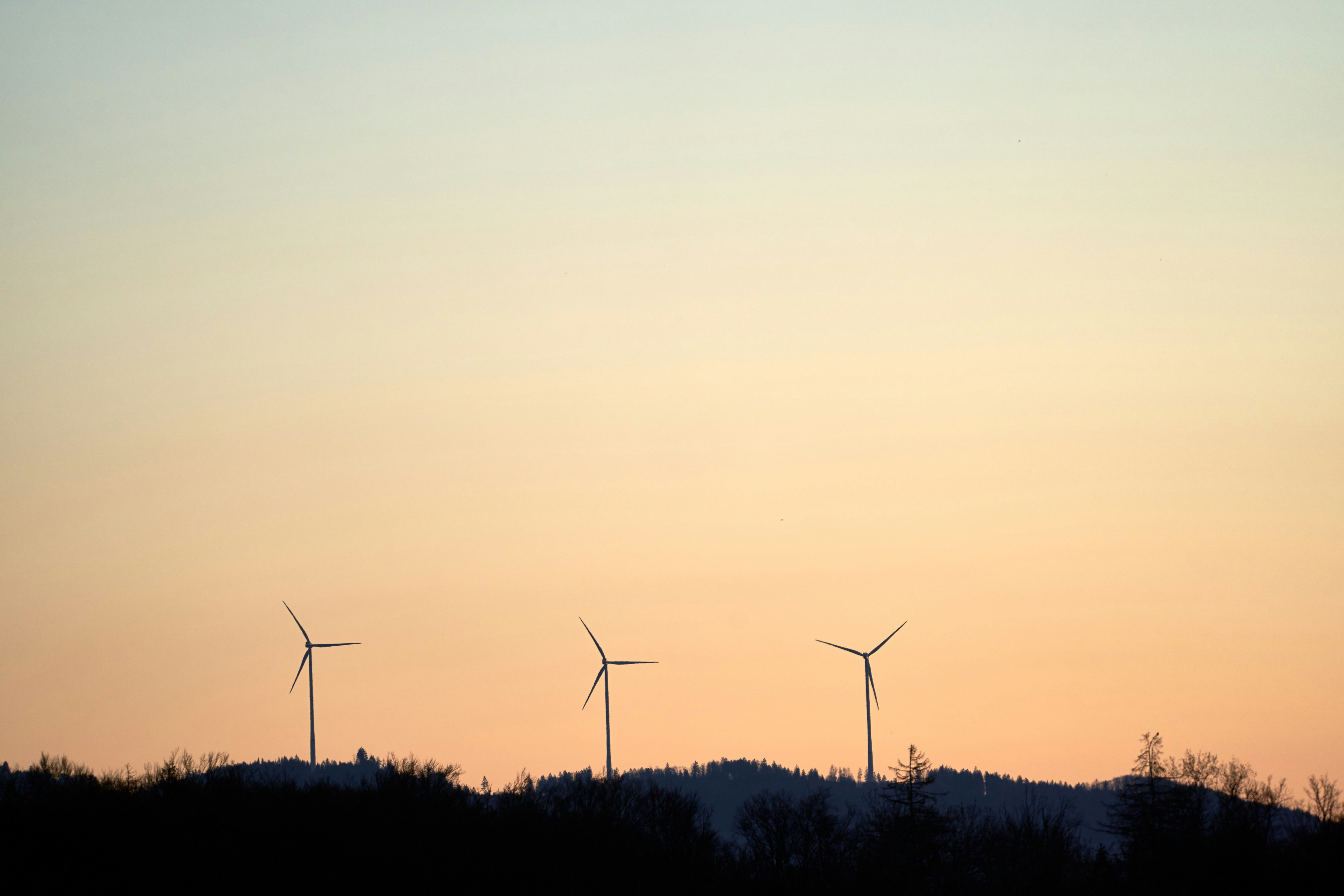 Photo by wolfgang_hasselmann