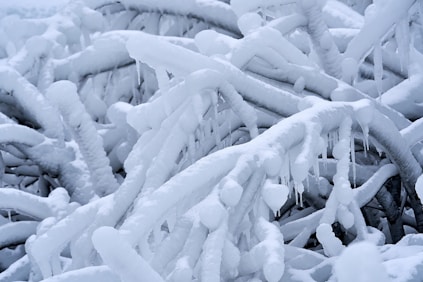 Thick layers of snow and ice encase numerous intertwined tree branches. Icicles hang from the branches, creating a textured, winter wonderland effect that emphasizes the cold, frozen environment.