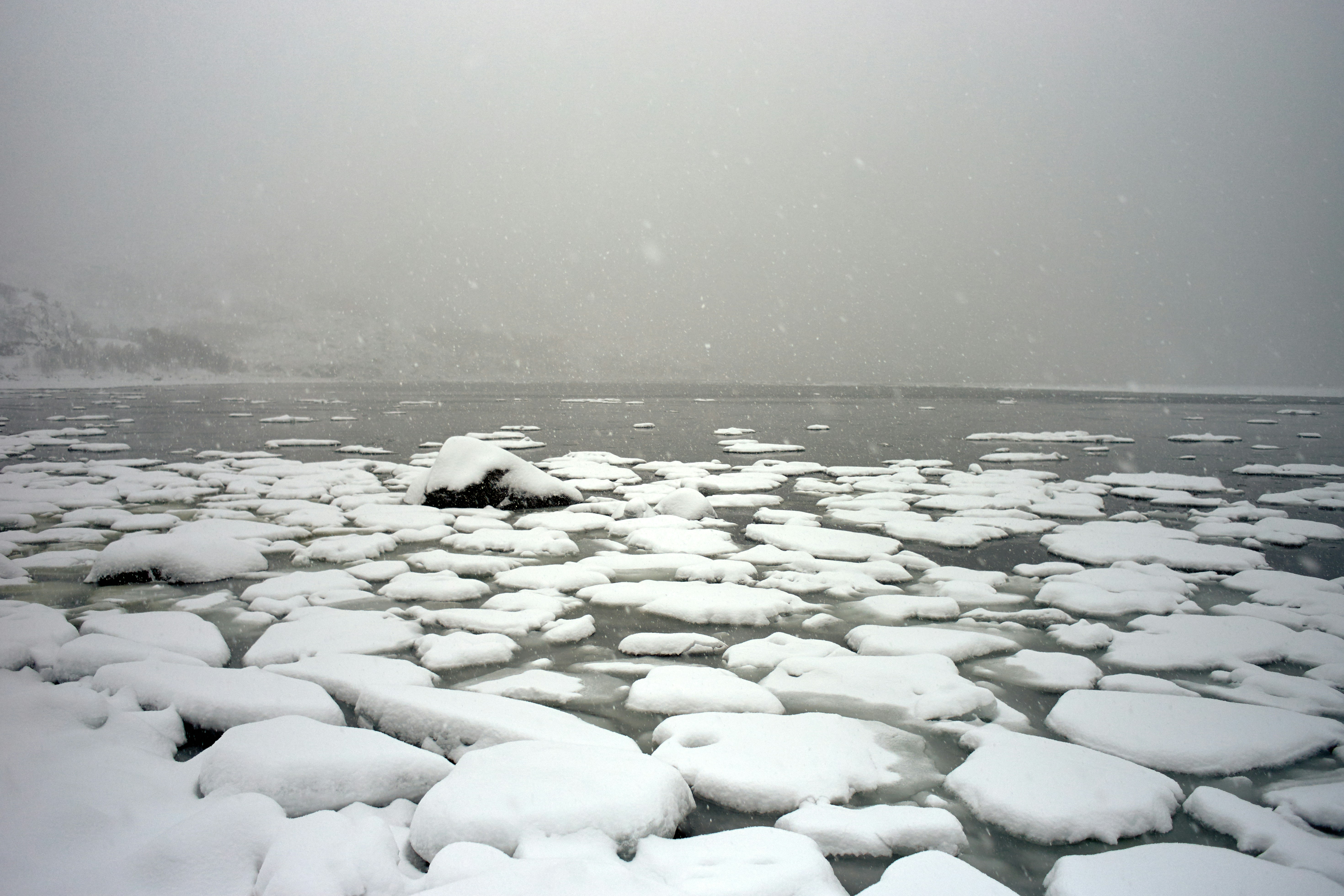 Photo by wolfgang_hasselmann