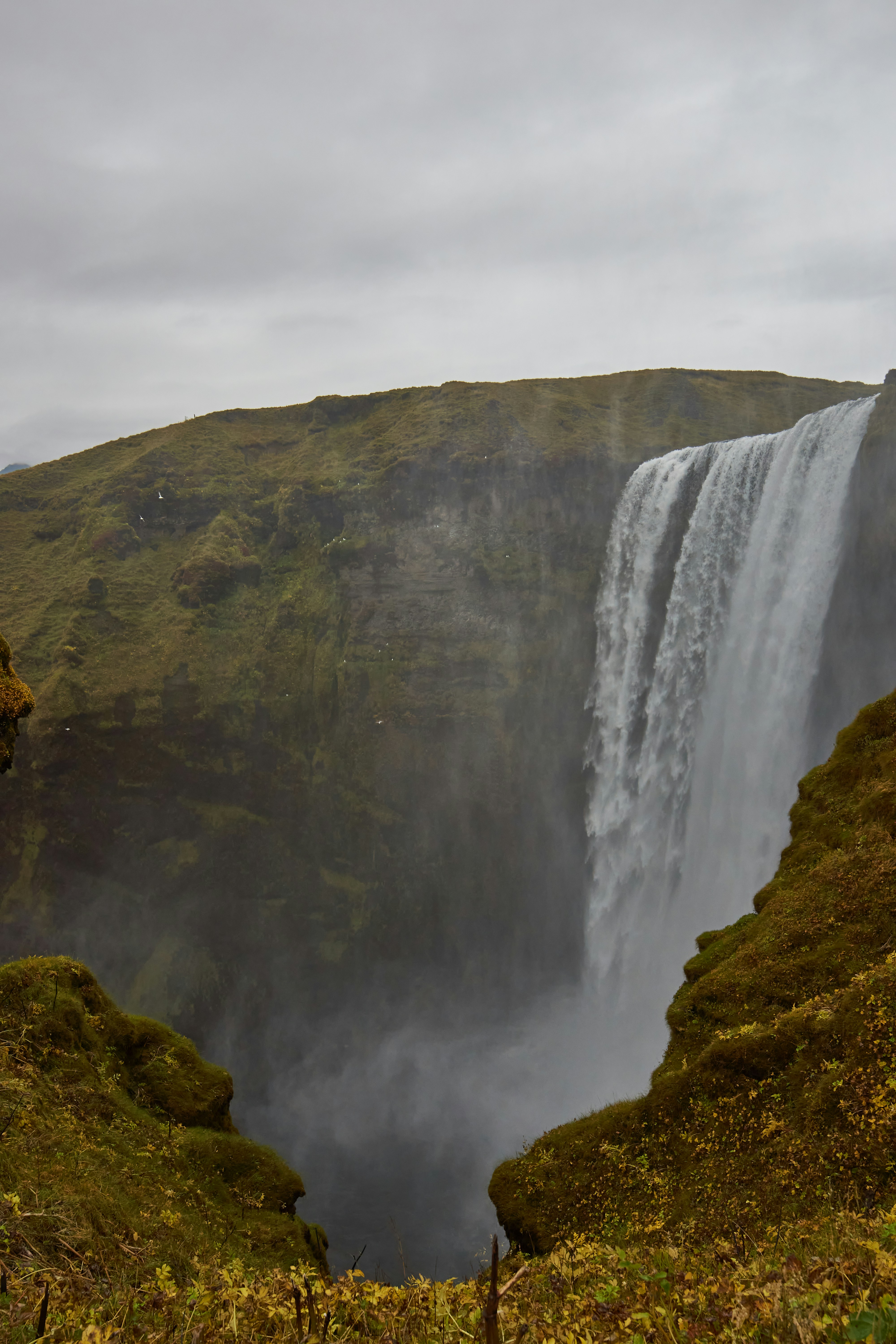 Photo by wolfgang_hasselmann