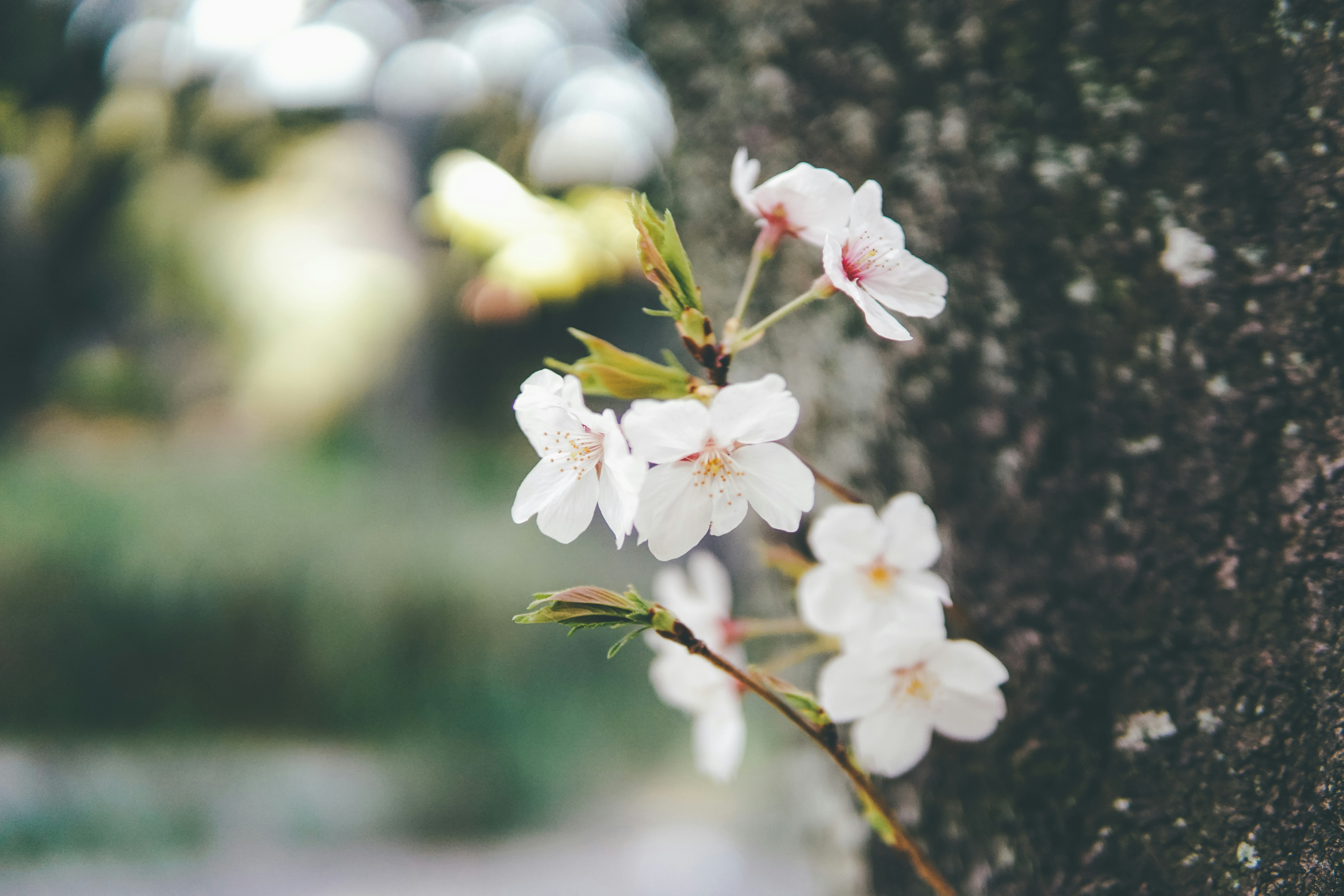 Photo by cosmonaut647