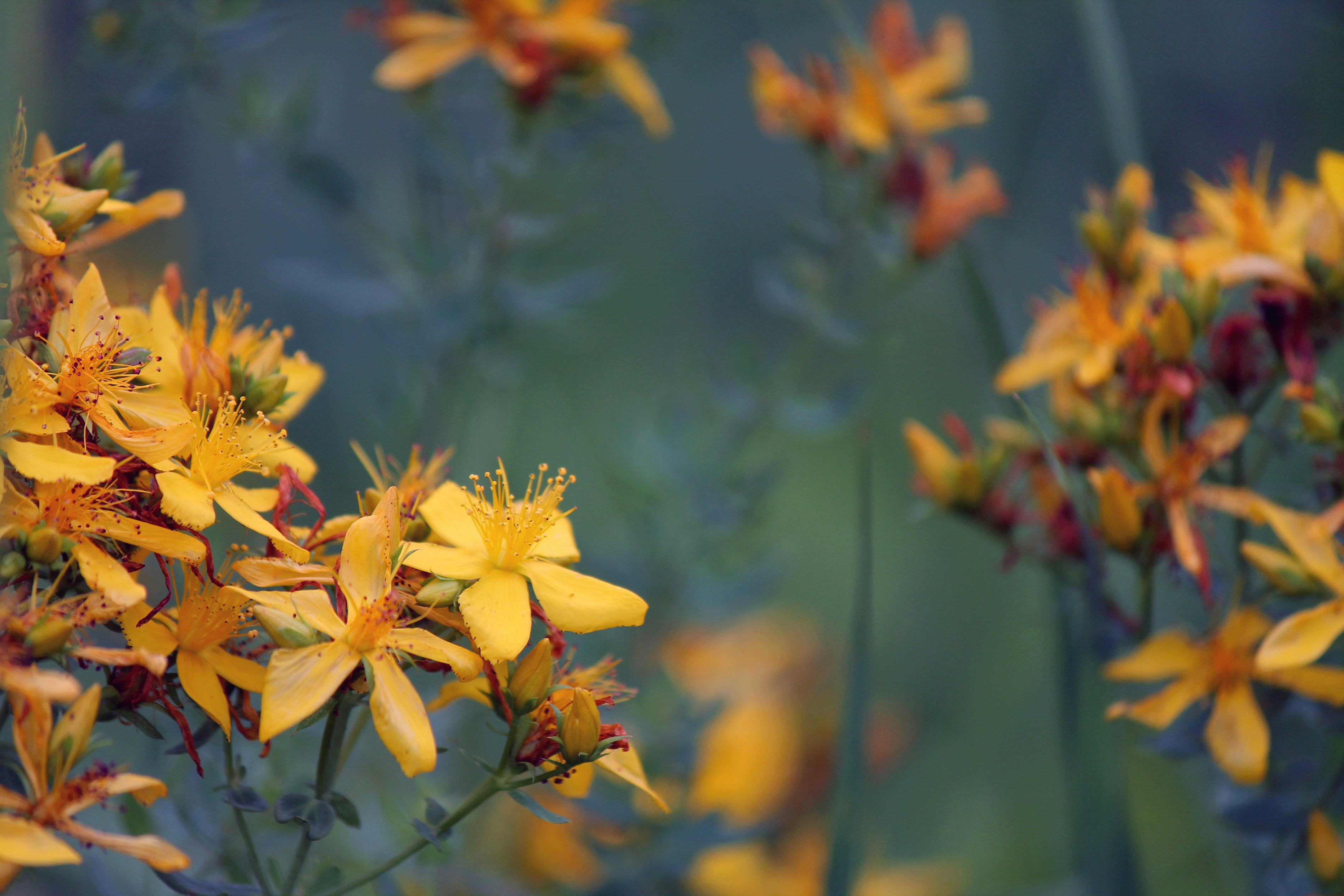 Photo by elenatkacheva