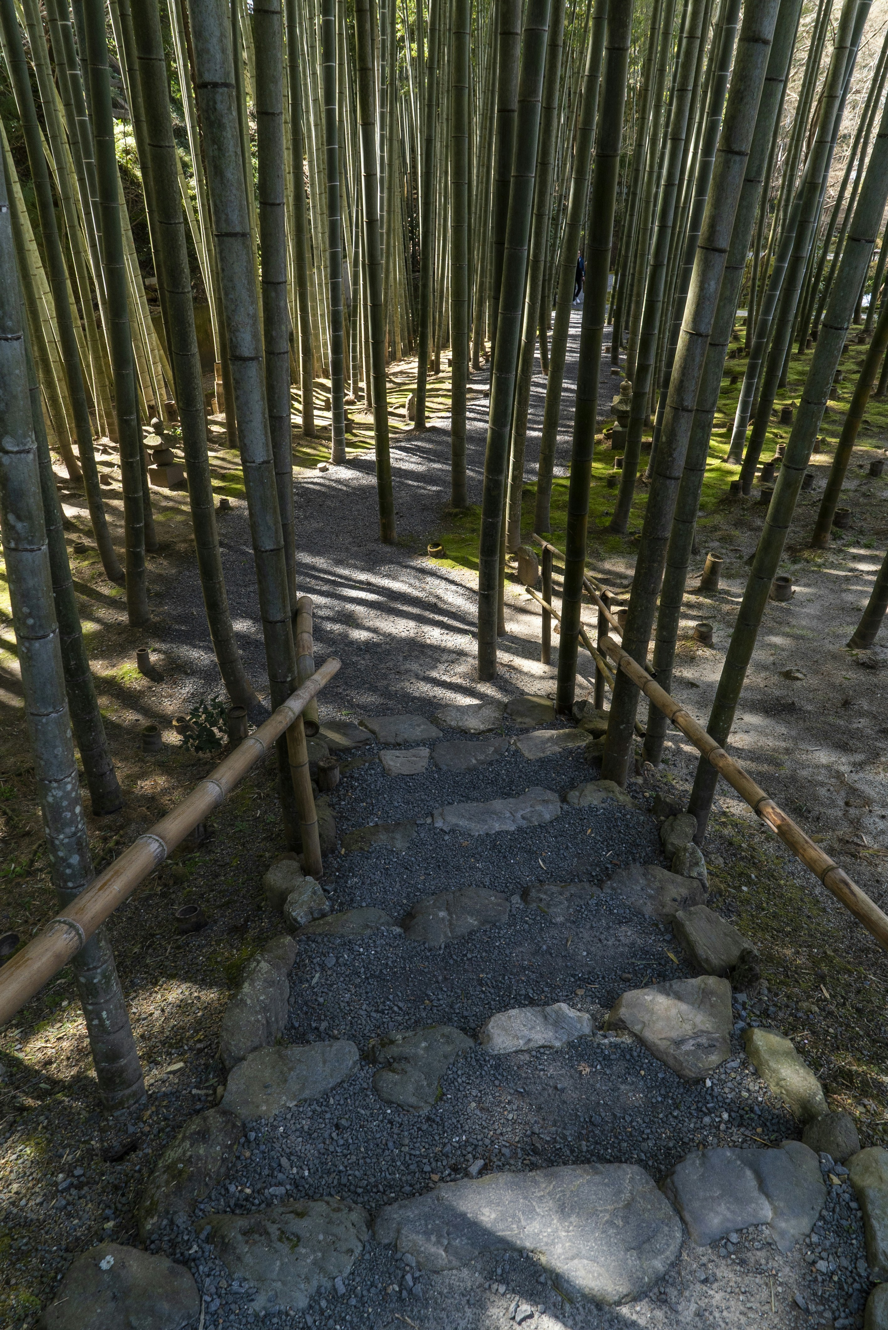 Oops! Image removed!