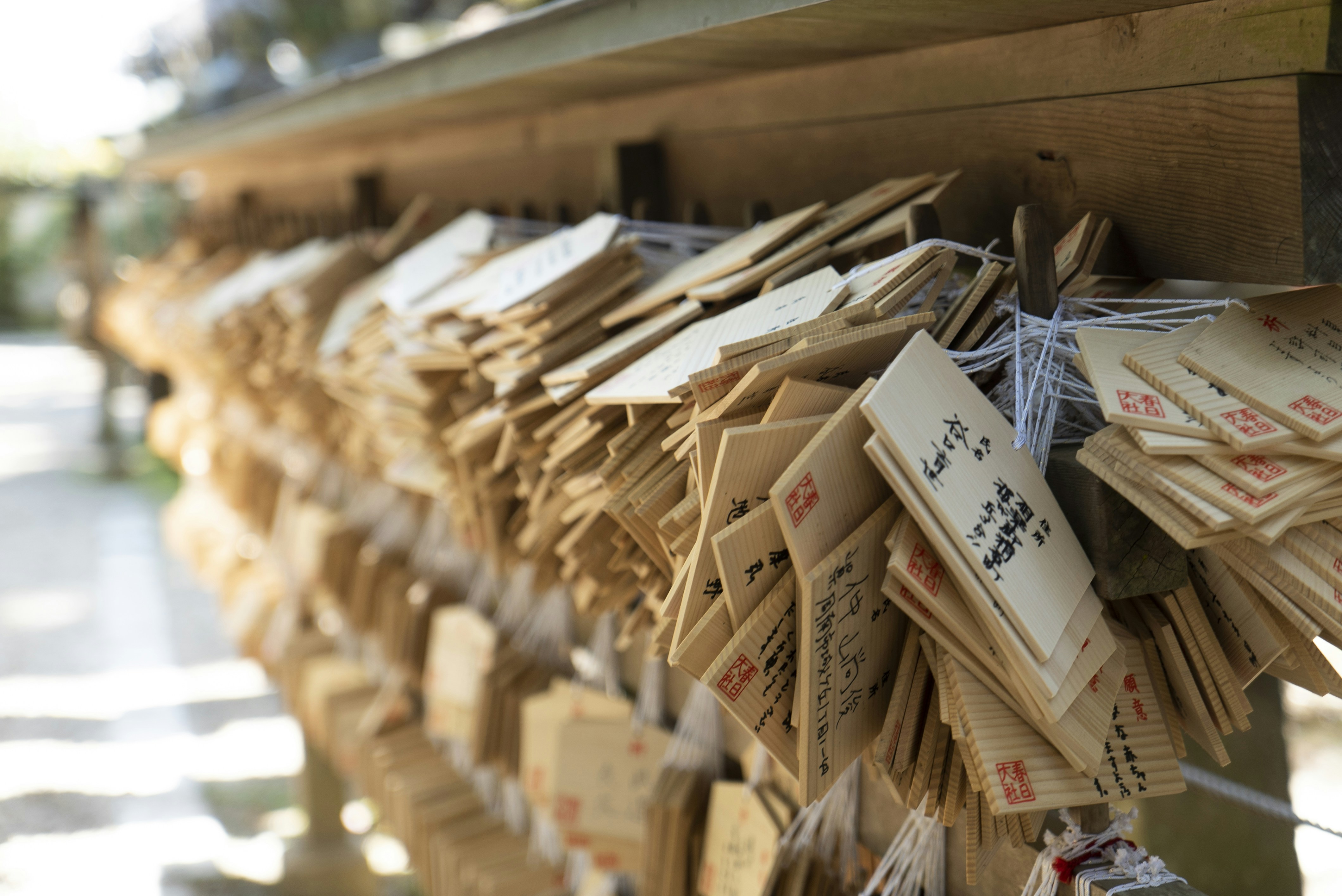 Photo by davidemrich