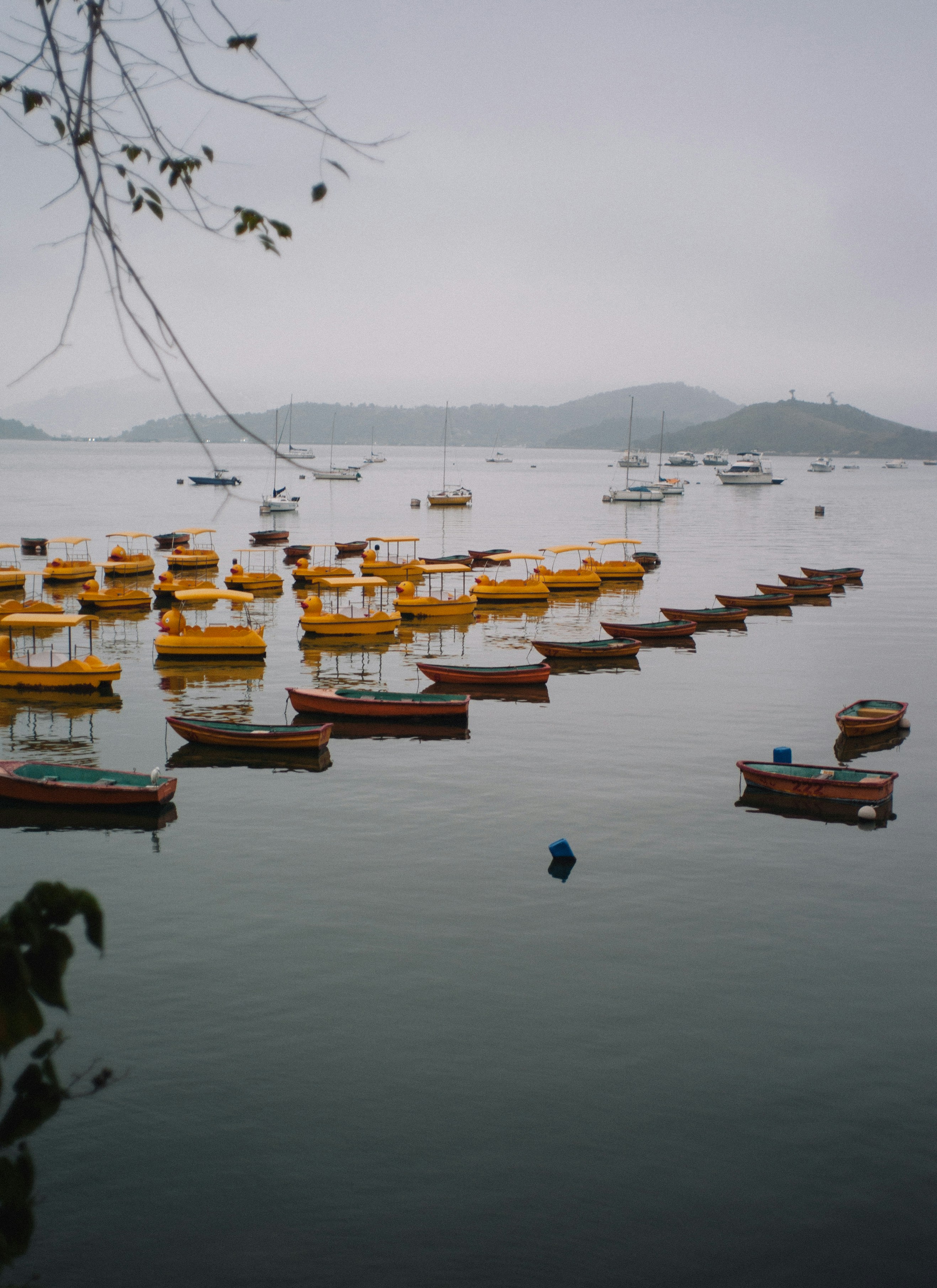 Photo by kirklai