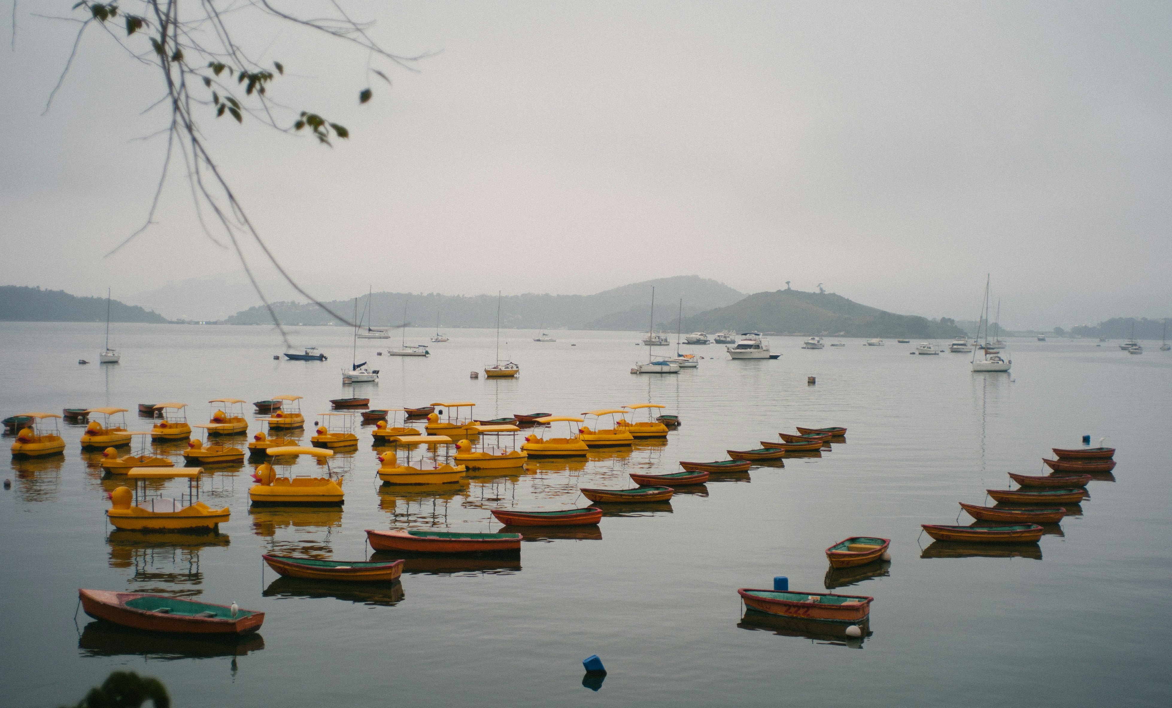 Photo by kirklai