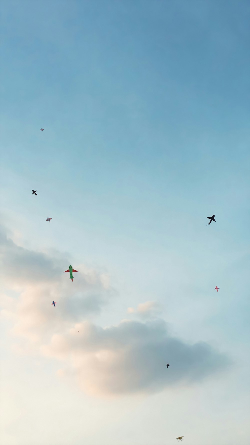 Tiefwinkelfotografie der Silhouette von Vögeln, die tagsüber unter blauem Himmel fliegen