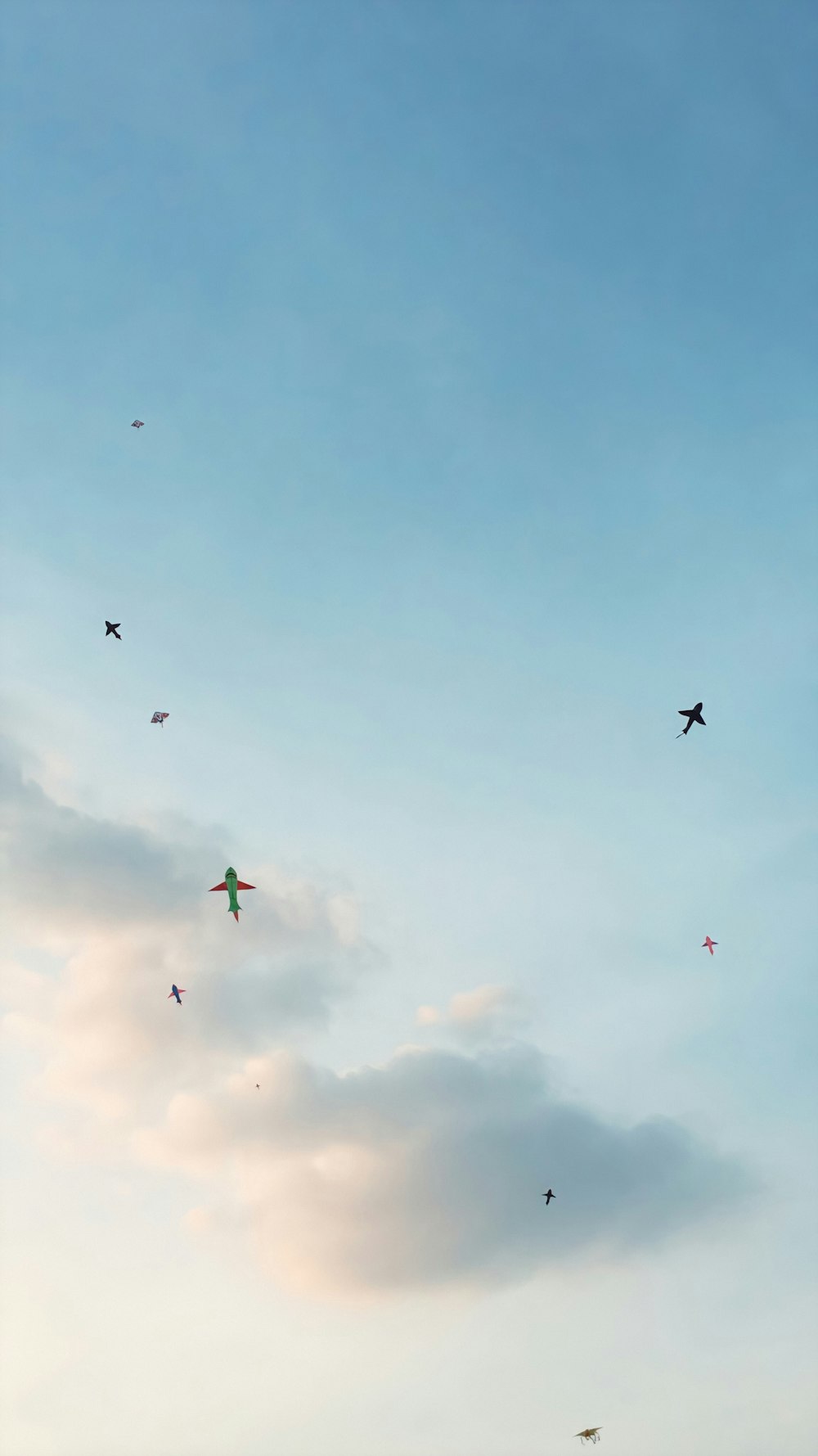 low angle photography of silhouette of birds flying under blue sky during daytime