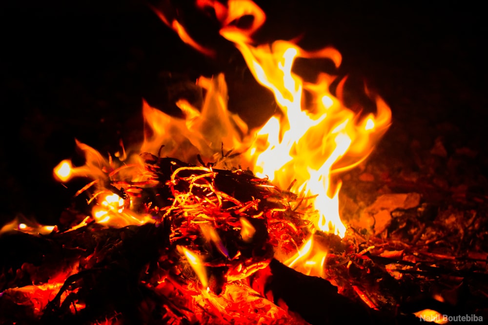 burning wood on fire during nighttime