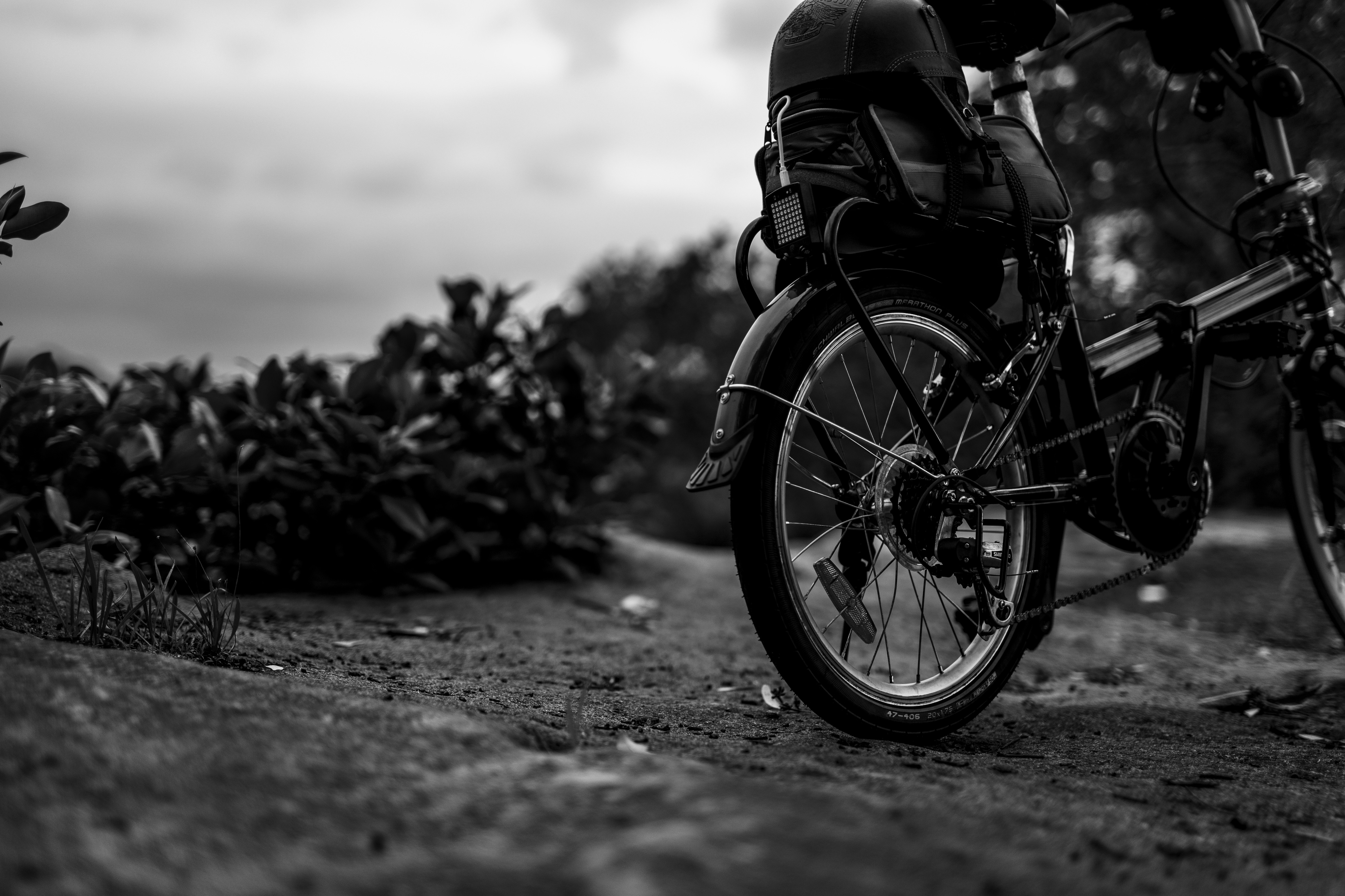grayscale photo of motorcycle on road