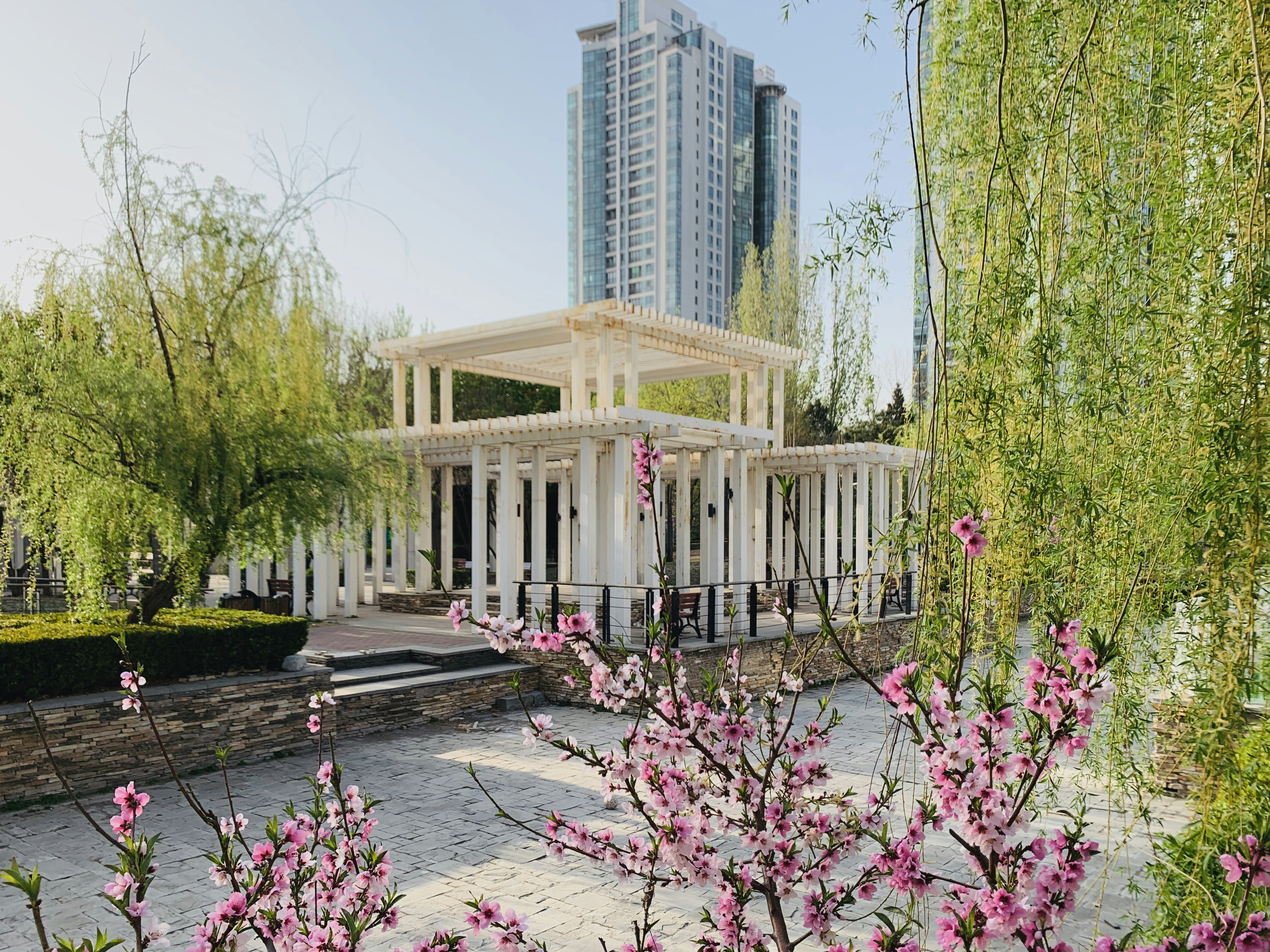 Harbin Botanical Garden photo 3