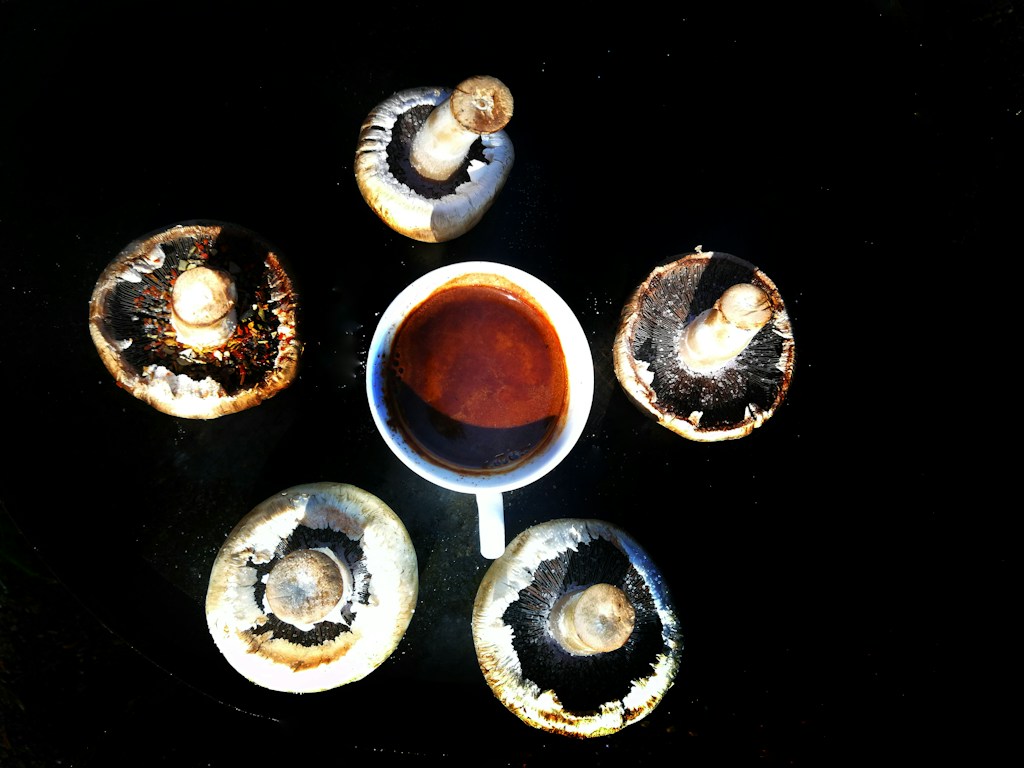 Roasted Mushroom Coffee