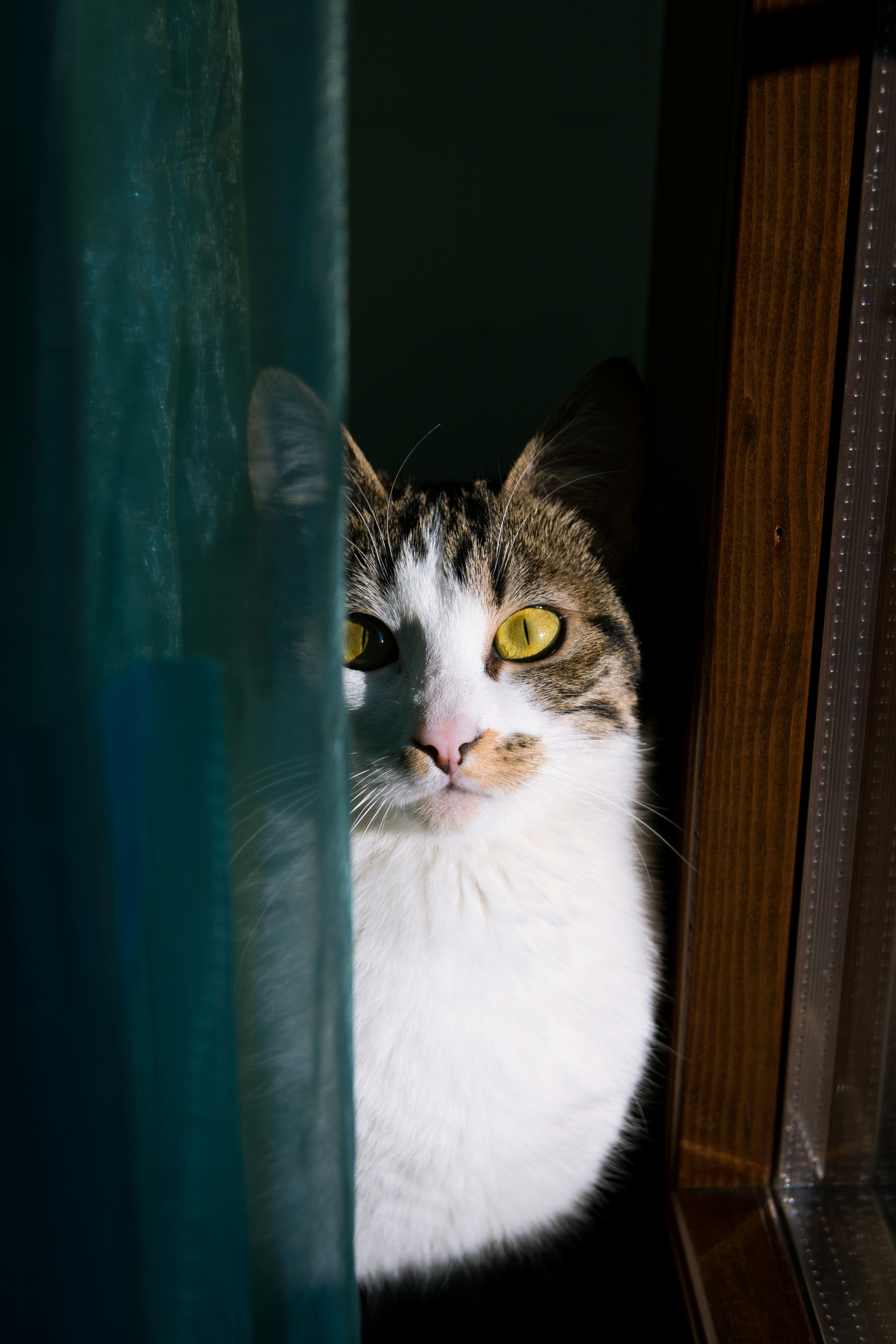 Photo by alessandrocavestro_