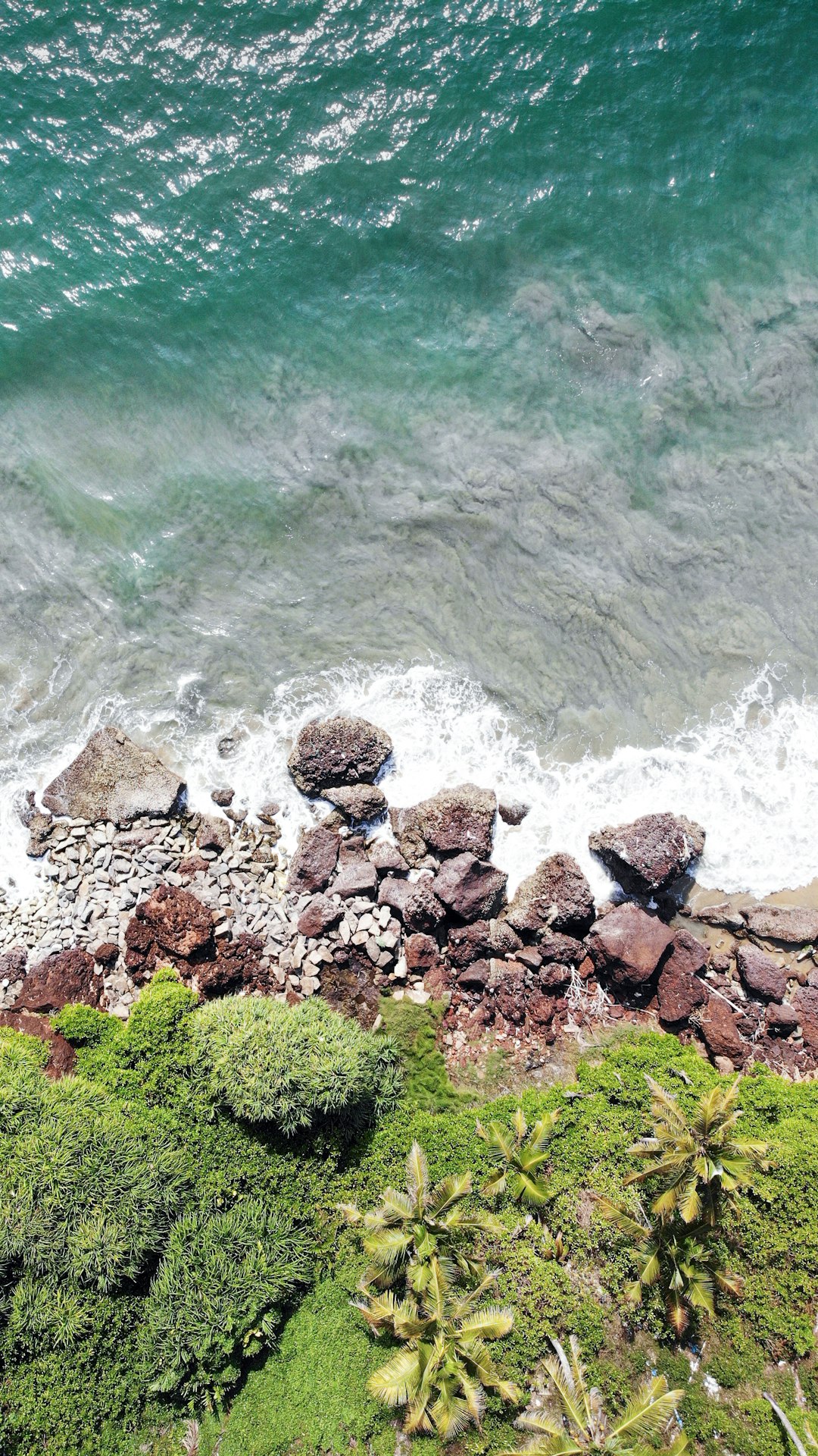 Shore photo spot Varkala Kovalam