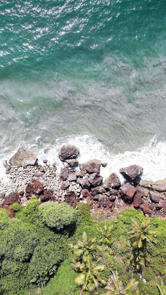 brown rocks near body of water during daytime in Varkala India